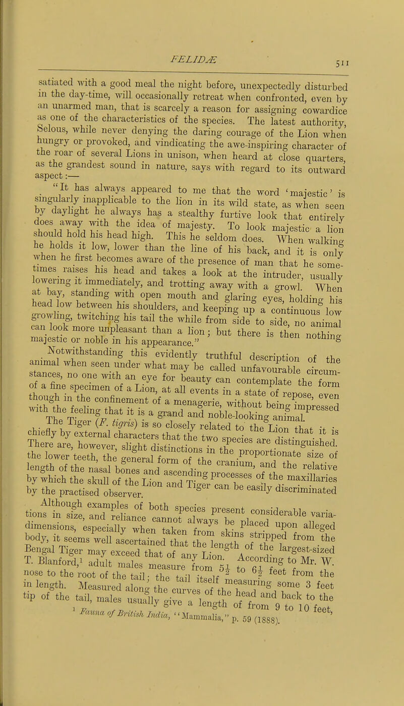 satiated vnth a good meal the night before, unexpectedly disturbed in the day-time, Avill occasionally retreat when confronted, even by an unarmed man, that is scarcely a reason for assigning cowardice as one of the characteristics of the species. The latest authority belous, while never denying the daring corn-age of the Lion when hungry or provoked, and vindicating the awe-inspiring character of the roar of several Lions in unison, when heard at close quarters as the grandest sound in nature, says with regard to its outward aspect:— It has always appeared to me that the word 'maiestic' is singularly inapplicable to the lion in its wild state, as when seen by daylight he always has a stealthy furtive look that entirely iTl^rf. T\ J'^f ^^^''y- To look majestic a liol should hold his head high. This he seldom does. When walkina- he holds It low, lower than the line of his back, and ^ Is o2 when he first becomes aware of the presence of man that he some times raises his head and takes a look at the intruder usuallv lowering it immediately, and trotting away with a growl.' Whl at bay, standing with open mouth and glaring eyes, holdinrh's head bw between his shoulders, and keeping up a contimous low growhng, twitching his tail the while from s'ide^o sTde no a^^a can look more unpleasant than a lion; but there is then noZni majestic or noble m his appearance. nocning Notwithstanding this evidently truthful descrintion nf fi, animal ..hen seen under what may i called unflvoS ctum stances, no one with an eye for beauty can contemplate the fox^Sr thonfr- ' - ^t-te of r pose even S'V r ^ menagerie, without being We'IeS ^vith the feeling that it is a grand and noble-looking animaT^ by the pracfced obser^r '^'^j' discriminated Bengal Tiger may exceed thnf nf ''^^/engtn of the largest-sized nose to the root of the tail • tln^ fn,-i 1/- ^ ^^'om the in length. Meas a the cu ve ^ ^.P of the t.l,„aie, usua\/r^l^'^'h^f fl^?- ^^t ofUntm LuUa, ■ ■ M.m,„,lu.-„. 59 (1888).
