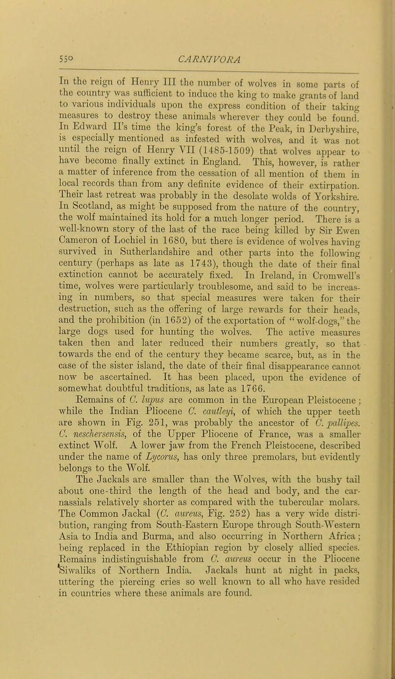 In the reign of Henry III the number of wolves in some parts of the country was sufficient to induce the king to make grants of land to various individuals upon the express condition of their taking measures to destroy these animals wherever they could be found. In Edward II's time the king's forest of the Peak, in Derbyshire, is especially mentioned as infested with wolves, and it was not until the reign of Henry VII (1485-1509) that wolves appear to have become finally extinct in England. This, however, is rather a matter of inference from the cessation of all mention of them in local records than from any definite evidence of their extirpation. Their last retreat was probably in the desolate wolds of Yorkshire. In Scotland, as might be supposed from the nature of the country, the wolf maintained its hold for a much longer period. There is a well-known story of the last of the race being killed by Sir Ewen Cameron of Lochiel in 1680, but there is evidence of wolves having survived in Sutherlandshire and other parts into the folloAving century (perhaps as late as 1743), though the date of their final extinction cannot be accurately fixed. In Ireland, in Cromwell's time, wolves Avere particularly troublesome, and said to be increas- ing in numbers, so that special measures were taken for their destruction, such as the ofiering of large rewards for their heads, and the prohibition (in 1652) of the exportation of  wolf-dogs, the large dogs used for hunting the wolves. The active measures taken then and later reduced their numbers greatly, so that towards the end of the century they became scarce, but, as in the case of the sister island, the date of their final disappearance cannot now be ascertained. It has been placed, upon the e\ndence of somewhat doubtful traditions, as late as 1766. Remains of G. lujms are common in the European Pleistocene; while the Indian Pliocene C. cautleyi, of which the upper teeth are shown in Fig. 251, was probably the ancestor of C. pallipes. 0. nescJwsensis, of the Upper Pliocene of France, was a smaller extinct Wolf. A lower jaw from the French Pleistocene, described under the name of Lycc/rus, has only three premolars, but e'sadeutlj- belongs to the Wolf. The Jackals are smaller than the Wolves, wit\i. the bushy tail about one-third the length of the head and body, and the cai-- nassials relatively shorter as compared with the tubercular molars. The Common Jackal (C. aureus, Fig. 252) has a very -wide distri- bution, ranging from South-Eastern Eui'ope through South-Western Asia to India and Burma, and also occurring in Northern Africa; being replaced in the Ethiopian region by closely allied species. Eemains indistinguishable from C. aureus occur in the Pliocene !Siwaliks of Northern India. Jackals hunt at night in jjacks, uttering the piercing cries so well knoA\Ti to all who have resided in countries M'here these animals are found.