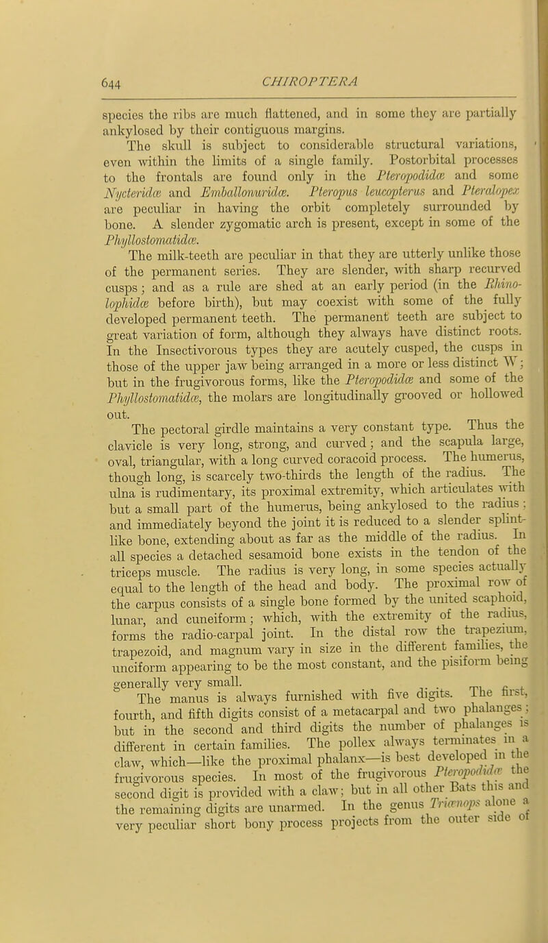 species the ribs are much fiattened, and in some they are partially ankylosed by their contiguous margins. The skull is subject to considerable structural variations, even within the limits of a single family. Postorbital processes to the frontals are found only in the Pteropodidce and some Nycterklai and Emhalloimridce. Fterojms leucopterus and Pteralopej are peculiar in having the orbit completely surrounded by bone. A slender zygomatic arch is present, except in some of the Phjllostomatidce. The milk-teeth are peculiar in that they are utterly unlike those of the permanent series. They are slender, with sharp recurved cusps; and as a rule are shed at an early period (in the Bhino- lophidce before birth), but may coexist with some of the^ fully developed permanent teeth. The permanent teeth are subject to great variation of form, although they always have distinct roots. In the Insectivorous types they are acutely cusped, the cusps in those of the upper jaw being arranged in a more or less distinct W; but in the frugivorous forms, like the Pteropodidce and some of the Phyllostomatidce, the molars are longitudinally grooved or hollowed out. The pectoral girdle maintains a very constant type. Thus the clavicle is very long, strong, and curved; and the scapula large, oval, triangular, with a long curved coracoid process. The humerus, though long, is scarcely two-thirds the length of the radius. The ulna is rudimentary, its proximal extremity, which articulates with but a small part of the humerus, being ankylosed to the radius: and immediately beyond the joint it is reduced to a slender splint- like bone, extending about as far as the middle of the radius. In all species a detached sesamoid bone exists in the tendon of the triceps muscle. The radius is very long, in some species actually equal to the length of the head and body. The proximal row of the carpus consists of a single bone formed by the united scaphoid, lunar, and cuneiform; which, with the extremity of the radius, forms the radio-carpal joint. In the distal row the trapezium, trapezoid, and magnum vary in size in the different families, the unciform appearing to be the most constant, and the pisiform bemg generally very small. The manus is always furnished with five digits, ihe hrst, fourth, and fifth digits consist of a metacarpal and two phalanges; but in the second and third digits the number of phalanges is different in certain families. The pollex always terminates in a claw, which—like the proximal phalanx—is best developed in the frugivorous species. In most of the frugivorous Pieropodn o' the second digit is provided ^^^th a claw; but in all other Bats this and the remaining digits are unarmed. In the genus Tnccnops alone a very peculiar short bony process projects from the outer side oi
