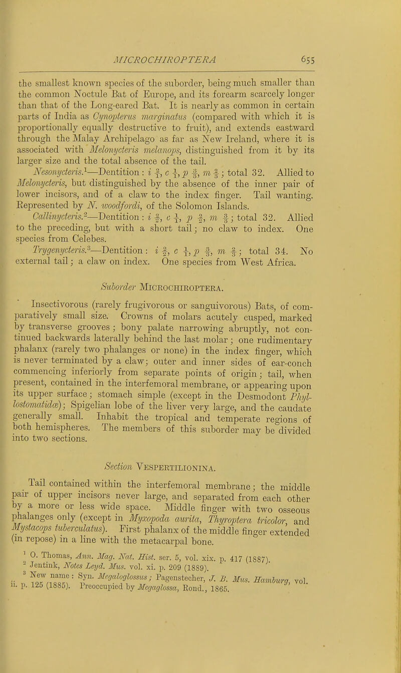 the smallest known sjiecies of the suborder, being much smaller than the common Noctule Bat of Europe, and its forearm scarcely longer than that of the Long-eared Bat. It is nearly as common in certain parts of India as Cynopterus margiiudus (compared with which it is proportionally equally destructive to fruit), and extends eastward through the Malay Archipelago as far as New Ireland, where it is associated with Melonyderis melanops, distinguished from it by its larger size and the total absence of the tail. Nesonyderis}—Dentition : i f, c \, p f, m f; total 32. Allied to Melonyderis, but distinguished by the absence of the inner pair of lower incisors, and of a claw to the index finger. Tail wanting. Eepresented by iV. tvooclfordi, of the Solomon Islands. Callinyderisr—Dentition : i c }, p |, m %; total 32. Allied to the preceding, but with a short tail; no claw to index. One species from Celebes. Trygenyderis.^—Dentition: i a \, p m %; total 34. No external tail; a claw on index. One species from West Africa. Suborder Microchiroptera. Insectivorous (rarely frugivorous or sanguivorous) Bats, of com- paratively small size. Crowns of molars acutely cusped, marked by transverse grooves ; bony palate narrowing abruptly, not con- tinued backwards laterally behind the last molar; one rudimentary phalanx (rarely two phalanges or none) in the index finger, which is never terminated by a claw; outer and inner sides of ear-conch commencing inferiorly from separate points of origin; tail, when present, contained in the interfemoral membrane, or appearing upon its upper surface; stomach simple (except in the Desmodont Phyl- lostomatidce); Spigelian lobe of the liver very large, and the caudate generally small. Inhabit the tropical and temperate regions of both hemispheres. The members of this suborder may be divided into two sections. Sedion Vespertilionina. Tail contained within the interfemoral membrane; the middle pair of upper incisors never large, and separated from each other by a more or less wide space. Middle finger with two osseous phalanges only (except in Myxopoda aurita, Thyroptera tricolor, and Mystacops tuherculatus). First phalanx of the middle finger extended (m repose) m a line with the metacarpal bone. 0. Thomas, Ann. Mag. A^at. Hist. ser. 5, vol. xix. ix 4l7 (1887). - Jentink, Notes Leyd. Mus. vol. xi. p. 209 (1889). ^; ' ?oTn=«-r ^^T^f^'''' P%'enstecher/j-. £. Mus. Hamlurg, vol. 11. p. 125 (188o). Preoccupied hy Mcgaglossa, Roncl., 1865.