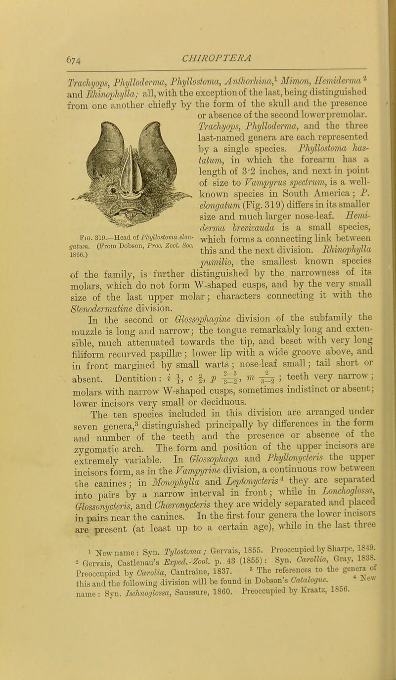 Fig. 319.—Head of Phyllostoma elon- gatum. (From Dobson, Proo. Zool. Soc. 1866.) Trachyo2)s, Phylloderma, Phyllostoma, Anllm-Una,'^ Mimm, Hemidernm ^ and lihinophylla; all, with the exception of the last, being distinguished from one iinother chiefly by the form of the skull and the presence or absence of the second lower premolar. Trachyops, Phylloderma, and the three last-named genera are each represented by a single species. Phyllostoma Jms- tatum, in which the forearm has a length of 3-2 inches, and next in point of size to Vampyrus spedrtm, is a well- ^ known species in South America; P. elongatum (Fig. 319) differs in its smaller size and much larger nose-leaf. Eemi- derma brevicauda is a small species, which forms a connecting link between this and the next division. lihinophylla pumilio, the smallest kno^vn species of the family, is further distinguished by the narro^vness of its molars, which do not form W-shaped cusps, and by the very small size of the last upper molar; characters connecting it ^vith the Stenodermatine division. In the second or Glossophagine division of the subfamily the muzzle is long and narrow; the tongue remarkably long and exten- sible, much attenuated towards the tip, and beset with very long filiform recm-ved papillae; lower lip mth a ^vide groove above, and in front margined by small warts; nose-leaf small; tail short or absent. Dentition: i \, c p m ^ ; teeth very narrow; molars with narroAv W-shaped cusps, sometimes indistinct or absent; lower incisors very small or deciduous. The ten species included in this division are arranged under seven genera,^ distinguished principally by differences in the form and number of the teeth and the presence or absence of the zygomatic arch. The form and position of the upper incisors are extremely variable. In Glossophaga and Phyllonyderis the upper incisors form, as in the Fampyrine division, a continuous row between the canines; in Monophylla and Leptonyderis * they are separated into pairs by a narrow interval in front; while in Lonchoglossa, Glossonyderis, and Gho&ronyderis they are mdely separated and placed in pairs near the canines. In the first four genera the lower mcisors are present (at least up to a certain age), while in the last three 1 New name: Syn. Tylostoma ; Gervais, 1855. Preoccupied by Sharpe, 1849. Gervais, Castlenau's Exped.-Zool. p. 43 (1855): Syn. Carollia, Gray, 1838. Preoccupied by Carolia, Cantraiue, 1837. ' The references to the genera of this and the foUowiug division will be found in Dobson's Catalogue. A e^^ name: Syn. Ischnoglossa, Saussure, 1860. Preoccupied by Kraatz, 18o6.