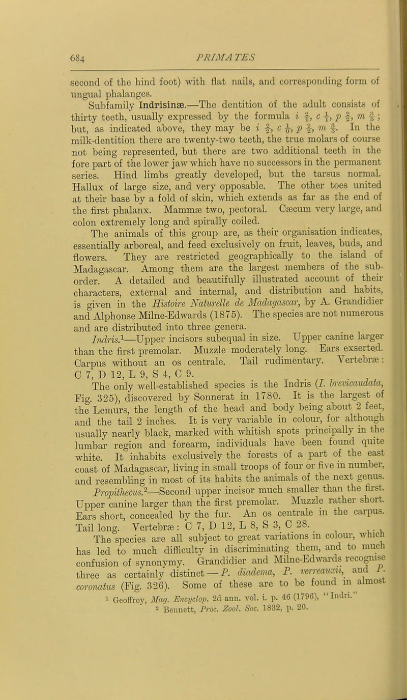 second of the hind foot) with flat nails, and corresponding form of ungual phalanges. Subfamily Indrisinse.—The dentition of the adult consists of thirty teeth, usually expressed by the formula % \, c \, p f, m ; but, as indicated above, they may be i |-, c ^, p f, m f. In the milk-dentition there are twenty-two teeth, the true molars of course not being represented, but there are two additional teeth in the fore part of the lower jaw which have no successors in the permanent series. Hind limbs greatly developed, but the tarsus normal. Hallux of large size, and very opposable. The other toes united at their base by a fold of skin, which extends as far as the end of the first phalanx. MammtB two, pectoral. Caecum very large, and colon extremely long and spirally coiled. The animals of this group are, as their organisation indicates, essentially arboreal, and feed exclusively on fruit, leaves, buds, and flowers. They are restricted geographically to the island of Madagascar. Among them are the largest members of the sub- order. A detailed and beautifully illustrated account of their characters, external and internal, and distribution and habits, is given in the Histoire NaturelU de Madagascar, by A. Grandidier and Alphonse Milne-Edwards (1875). The species are not numerous and are distributed into three genera. Indris}—Upper incisors subequal in size. Upper canine larger than the first premolar. Muzzle moderately long. Ears exserte.d. Carpus without an os centrale. Tail rudimentary. Vertebrae: C 7, D 12, L 9, S 4, C 9. The only well-established species is the Indns (/. h-emcaudata, Fig. 325), discovered by Sonnerat in 1780. It is the largest of the Lemurs, the length of the head and body being about 2 feet, and the tail 2 inches. It is very variable in colour, for although usually nearly black, marked mth whitish spots principally in the lumbar region and forearm, individuals have been found quite white. It inhabits exclusively the forests of a part of the east coast of Madagascar, living in small troops of four or five in number, and resembling in most of its habits the animals of the next genus. Projnthecus.^-—Second upper incisor much smaller than the first. Upper canine larger than the first premolar. Muzzle rather short Ears short, concealed by the fur. An os centrale in the carpus. Tail long. Vertebrae: C 7, D 12, L 8, S 3, C 28. The species are all subject to great variations in colour, wliicb has led to much difiiculty in discriminating them, and to much confusion of synonymy. Grandidier and Milne-Edwards recognise three as certainly distinct —P. diadema, P. verrcauxii,^ and 1. coronatus (Fig. 326). Some of these are to be found m almost 1 Geoffi-oy, Mag. Encyclop. 2d ann. vol. i. p. 46 (1796), Indri. 2 Bennett, Proc. Zool. Soc. 1832, p. 20.