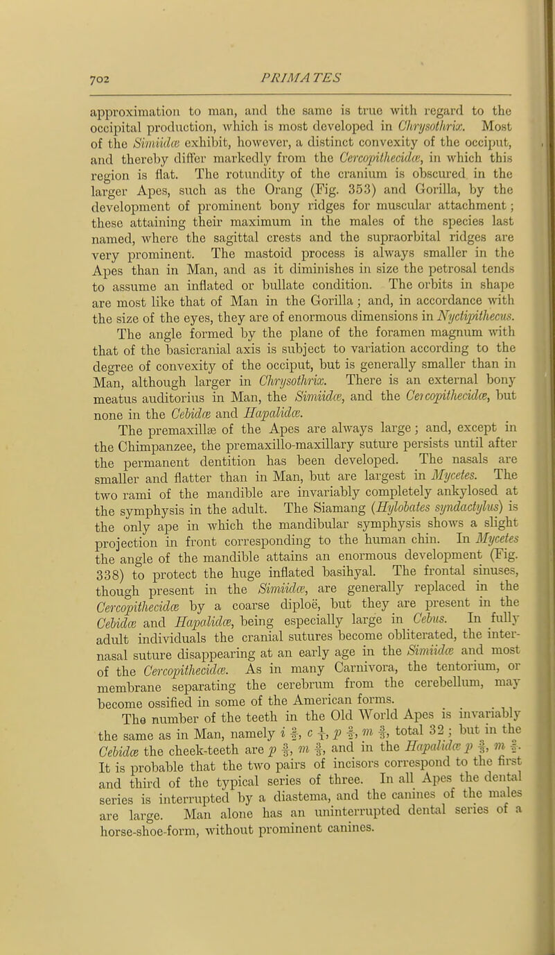 approximation to man, and the same is true with regard to the occipital production, which is most developed in Chrysotkrrx. Most of the Bimmlai exhibit, however, a distinct convexity of the occiput, and thereby differ markedly from the Cercojnthecidce, in which this region is flat. The rotundity of the cranium is obscured in the larger Apes, such as the Orang (Fig. 353) and Gorilla, by the development of prominent bony ridges for muscular attachment; these attaining their maximum in the males of the species last named, where the sagittal crests and the supraorbital ridges are very prominent. The mastoid process is always smaller in the Apes than in Man, and as it diminishes in size the petrosal tends to assume an inflated or btdlate condition. The orbits in shape are most like that of Man in the Gorilla; and, in accordance with the size of the eyes, they are of enormous dimensions in Nyctipithecus. The angle formed by the plane of the foramen magnum with that of the basicranial axis is subject to variation according to the degree of convexity of the occiput, but is generally smaller than in Man, although larger in Chrysothrix. There is an external bony meatus auditorius in Man, the Simiidce, and the Co copithecidce, but none in the Cebidce and Hapalidce. The premaxilliB of the Apes are ahvays large; and, except in the Chimpanzee, the premaxillo-maxillary suture persists until after the permanent dentition has been developed. The nasals are smaller and flatter than in Man, but are largest in Mycetes. The two rami of the mandible are invariably completely ankylosed at the symphysis in the adult. The Siamang (Hylohafes syndadylus) is the only ape in which the mandibular symphysis shows a slight projection in front corresponding to the human chin. In Mycetes the angle of the mandible attains an enormous development (Fig. 338) to protect the huge inflated basihyal. The frontal sinuses, though present in the Simiida', are generally replaced in the CercopithecidcB by a coarse diploe, but they are present in the Cebidce and Hapalidce, being especially large in Cebns. In fully adult individuals the cranial sutures become obliterated, the mter- nasal suture disappearing at an early age in the Simiidce and most of the Cercopitliecidm. As in many Carnivora, the tentormm, or membrane separating the cerebrum from the cerebellimi, may become ossified in some of the American forms. The number of the teeth in the Old World Apes is invariably the same as in Man, namely i h <^ h P h f. total 32 ; but in the Cebidce the cheek-teeth are p %, m f, and in the Hapalidce p %, m f. It is probable that the two pairs of incisors correspond to the first and third of the typical series of three. In all Apes the dental series is interrupted by a diastema, and the canines of the males are large. Man alone has an uninterrupted dental series of a horse-shoe-form, Avithout prominent canines. i