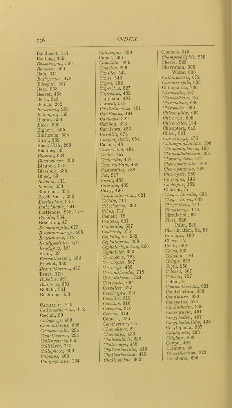 7S6 Bandicoot, 141 Banteng, 365 Bassaric7/on, 566 Bassaris, 566 Bats, 641 Bathyergus, 478 Bdeogalc, 537 Bear, 558 Beaver, 458 Beisa, 343 Beluga, 262 BerartUus, 256 Betlongia, 163 Bliaral, 356 Bibos, 360 Bighorn, 355 Biutiirong, 534 Bison, 362 Black-Fish, 269 Bladder, 69 Blarina, 624 Blastomeryx, 330 Blaubok, 343 Blessbok, 335 Blood, 63 Bolodon, 111 Boneia, 653 Bontebok, 334 Bosch-Vark, 286 Boselaphus, 345 Bothriolabis, 291 Bottlenose, 253, 270 Bovidw, 334 Bracliium, 47 Brachyphylla, 675 Brachyiarsomys, 465 Brachyurics, 712 Bradypodidce, 179 Bradypus, 181 Brain, 69 Bramatherium, 333 Brocket, 330 Brontotherium, 413 Bruta, 176 Bubalus, 361 Budorcas, 351 Buffalo, 361 Bush-dog, 553 Cachalot, 249 Cadurcotherium, 412 Caecum, 59 Cmlogenys, 489 Cainop)ithecus, 696 Cccnotheriidce, 294 Ccenotherium, 294 Callmyderis, 655 Callithrix, 713 Callophoca, 606 Calomys, 463 Calopryimms, 164 Ccdolragus, 339 Camel, 296 Cavielidai, 295 C'amelus, 296 Canidce, 544 C'anis, 546 Capra, 352 Capreolus, 327 Capromys, 482 Capybara, 491 Caracal, 518 CardicUliermm, 491 Cardiomys, 491 Cariacus, 329 Caribou, 324 Carnivora, 496 Carollia, 674 Carponyctaris, 654 Carpus, 48 Carterodon, 484 Castor, 457 Casloridce, 457 Casloroididce, 488 Castoroi.des, 488 Cat, 517 Cavia, 489 CaviidcB, 489 Cavy, 490 Cayluxotherium, 621 Cebidce, 711 Cebochcerus, 292 Cebus, 717 Cement, 15 Centetes, 637 Centetidm, 637 Centurio, 676 Cephalogale, 562 CejihalopJms, 338 Cephalorhynchus, 266 Cephalotes, 653 Cercocebus, 723 Cercoleptes, 567 Cercomys, 483 Cercopithecidce, /18 Cercopitliecus, 724 Cerivoula, 664 Cervalces, 327 Cervicapra, 340 Cervidce, 313 Cervinm, 316 Cerviclus, 316 Genus, 319 Cetacea, 225 Cetotherium, 245 Cliamohyus, 291 Chcdomys, 486 Chalcochloris, 639 Chalicomys, 458 Clialicolheriidcc, 413 Chalico/herium, 413 Chalinolobus, 662 Chamois, 349 Champsodel2}his, 259 Cheeta, 523 Chevrotain, 305 Water, 306 Chilonycteris, 672 Chiman'ogale, 626 Chimpanzee, 736 Chinchilla, 487 ChinchillidcB, 487 Chirogaleus, 689 Chiromeles, 669 Chiromyidce, 694 Chvramys, 695 Chironedes, 134 Chiroptera, 641 Chiru, 341 Vhirurmnys, 476 Chlamydophorince, 196 Chlamydophorus, 196 Chlamydoilienum, 201 Cliceronycteris, 674 Clicerojiolamidce, 292 Chceropotamus, 292 Chccro]isis, 280 Cheer opius, 143 Cholmpus, 182 Chorion, 77 Chrysochloridce, 638 Chrysochloris, 639 Chrysothrix, 714 Cimoliomys, 113 Circulation, 63 Civet, 626 Palm, 532 Classification, 84, 88 Claviglis, 460 Claws, 12 Coati, 566 Co6ks, 339 Ccdodon, 184 Ccdops, 658 Cor/ia, 250 Coleilra, 667 CoZoSus, 727 Colour, 8 Comphotheriim, 621 Condylarthra, 438 Condylura, 630 Conejmtus, 574 Connoclueles, 336 Co7itracavia, 491 Coryphodon, 437 Coryphodontidcc, 438 Cotylophora, 307 Colylojiidw, 293 Cotylops, 293 Coypu, 482 Cranium, 35 Crassilherium, 223 Creodonta, 606