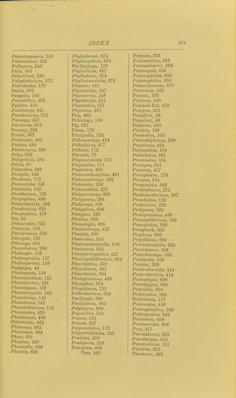 Palceotragoceros, 349 Palauchenia, 303 PaUiymna, 544 Palla, 341 Palm-Civet, 532 Paloplotherium, 375 Palorchestes, 170 Panda, 562 Pangolin, 205 Panochthus, 203 Panther, 514 Pantholops, 341 Parado.vurus, 532 Par amy s, 457 Parasorex, 618 Peccary, 289 Pecora, 307 Pectinatm; 481 Pedetes, 480 Pediotragus, 339 PeZea, 339 Pellegrinia, 484 Pelvis, 50 Pelycodus, 699 Peragale, 143 Peralesies, 115 Peramelidce, 141 Perameles, 142 Perathermm, 135 Periptyc/ms, 439 Perissodactyla, 368 Perodiciicus, 693 Perognathus, 479 Pes, 52 Petauroides, 152 Petaurus, 153 Petrodrcmvus, 618 Petrogale, 167 Petromys, 482 Phacochcernis, 288 Phalanger, 149 PhalangeridcE, 147 Phalangerince, 149 Phalanges, 49 Phalangista, 149 Phascolarctinm, 155 Pho^colarctus, 156 Phascologale, 139 Pha^colomyidce, 144 Phascolomys, 145 Phascolonus, 146 Phascolotherium, 114 Phenacodus, 439 Phenacomys, 466 Phlseominje, 462 Phlceomys, 462 Phloramys, 484 PAoca, 601 Phoccena, 263 Phocanella, 606 Phocidce, 600 Phylloderma, 674 Phyllonycteris, 674 Phyllophaga, 178 Phyllorhina, 657 Phyllostoma, 674 PhyllostmnalidoB, 672 Physeler, 248 Physeteridm, 247 Physeterina, 248 Physetenda, 251 Physetodon, 251 Physodon, 251 Pica, 492 Pichiciago, 196 Pig, 282 Pilosa, 179 Pinnipedia, 592 Pithanotomys, 484 Pithechirus, 477 Pithecia, 712 Placenta, 75 PlagiaulacidcB, 113 Plagiaidax, 111 Plagiodon, 483 Platacanthomyinoe, 461 Platacanthomys, 462 Platanista, 258 Platanistidce, 257 Platycercomys, 480 Platygonus, 291 Platyonyx, 188 Platyphoca, 606 Platypus, 120 Plecotus, 660 Plesiadapis, 698 Plesiarctomys, 457 Plesictis, 590 Plesiocetus, 245 Plesiometacarpalia, 316 Plesiosm-ex, 634 Plesispermophihis, 457 PleuraspidotJie7'm7n, 63 Pleurolichus, 479 Plexochcerus, 491 Pliauchenia, 304 Pliolagosto7>ms, 488 Pliolophus, 374 Pliopithecus, 731 Poebrotherium, 304 Poscilogale, 590 Poecilophoca, 605 Poephag^is, 360 Pogonodon, 524 Poiana, 531 Polecat, 587 Polymaslodon, 113 Polyprotodontia, 133 Pontistes, 259 Pontoporia, 259 Porcupine, 486 Tree, 485 Porpoise, 263 Potamarchm, 488 Potamochosrus, 286 Potamogale, 635 Potamogalidai, 634 Potamophilus, 534 Pota^notherium, 570 Potoroirice, 162 Potoroo, 163 Potorous, 163 Pouched-Rat, 478 Praopus, 201 Prehallux, 49 Prepollex, 49 Primates, 680 Priodon, 198 Prionodon, 530 Priscodelphinus, 259 Prooelurus, 523 Proboscidea, 418 Prdbubalus, 361 Procanielus, 304 Procajn-a, 341 Procavia, 417 Procoptodon, 170 Procyon, 564 Procyonidw, 562 Prodelphinus, 271 Prodremotheruim, 307 Proechidna, 126 Prohalicore, 223 Prohymna, 562 Prolagosto7nus, 488 Promegatheriu7n, 189 Pro7nylodon, 190 Prongbuok, 333 Prophoca, 606 Propithecus, 684 P7-orast07natidce, 224 Prorasto7nus, 224 Protechinmnys, 484 ProteleidcB, 539 Proteles, 539 Proterothe7'iidce, 414 Proterotherium, 414 Protoadapis, 698 Protohippus, 380 Protolabis, 304 Protoreodo7i, 293 Prototheria, 117 Protoxodon, 440 Protragelaplms, 349 Prot7-agoce7-os, 349 Proviveira, 608 Promve7ridm, 608 Prorc, 317 PseiidcBhirus, 523 Pseudalopex, 552 Pseudoclm-us, 151 Pseudois, 355 Pseudorca, 268