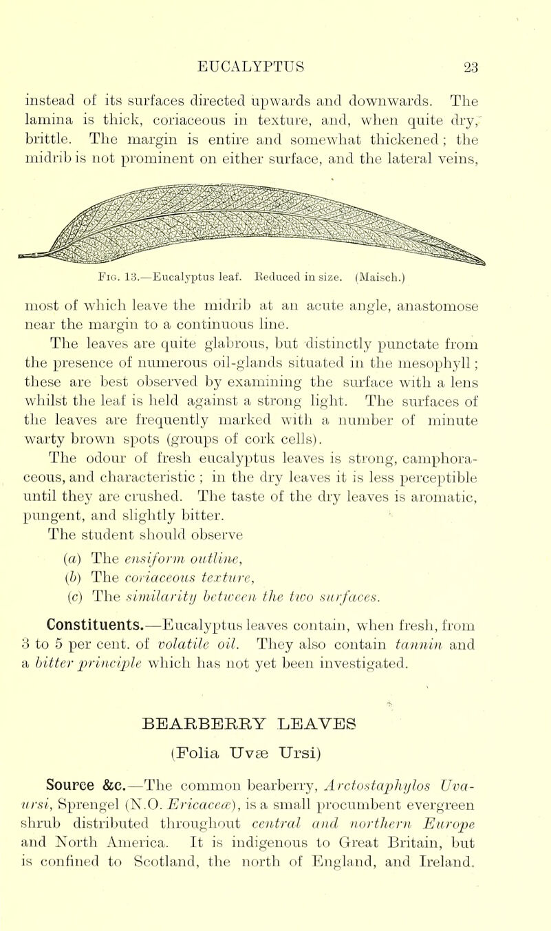 instead of its surfaces directed upwards and downwards. The lamina is thick, coriaceous in texture, and, when quite dry,' brittle. The margin is entire and somewhat thickened ; the midrib is not prominent on either surface, and the lateral veins. Fiti. 1'6.—Eucalyptus leaf. Eeduced in size. (Maisch.) most of which leave the midrib at an acute angle, anastomose near the margin to a continuous line. The leaves are quite glabrous, but distinctly punctate from the presence of numerous oil-glands situated in the mesophyll; these are best observed by examining the surface with a lens whilst the leaf is held against a strong light. The surfaces of the leaves are frequently marked with a number of minute warty brown spots (groups of cork cells). The odour of fresh eucalyptus leaves is strong, camphora- ceous, and characteristic ; in the dry leaves it is less perceptible until they are crushed. The taste of the dry leaves is aromatic, pungent, and slightly bitter. The student should observe (a) The ensifonn outline, (b) The coriaceous texture, (c) The similarity between the two surfaces. Constituents.—Eucalyptus leaves contain, when fresh, from 8 to 5 per cent, of volatile oil. They also contain tannin and a bitter lyrindple which has not yet been investigated. BEARBERRY LEAVES (Folia XJvas Ursi) Source &C.—The common bearberry, Aretostaplnjlos Uva- ursi, Sprengel (N.O. Ericacece), is a small procumbent evergreen shrub distributed throughout central and northern Europe and North America. It is indigenous to Great Britain, but is confined to Scotland, the north of England, and Ireland.
