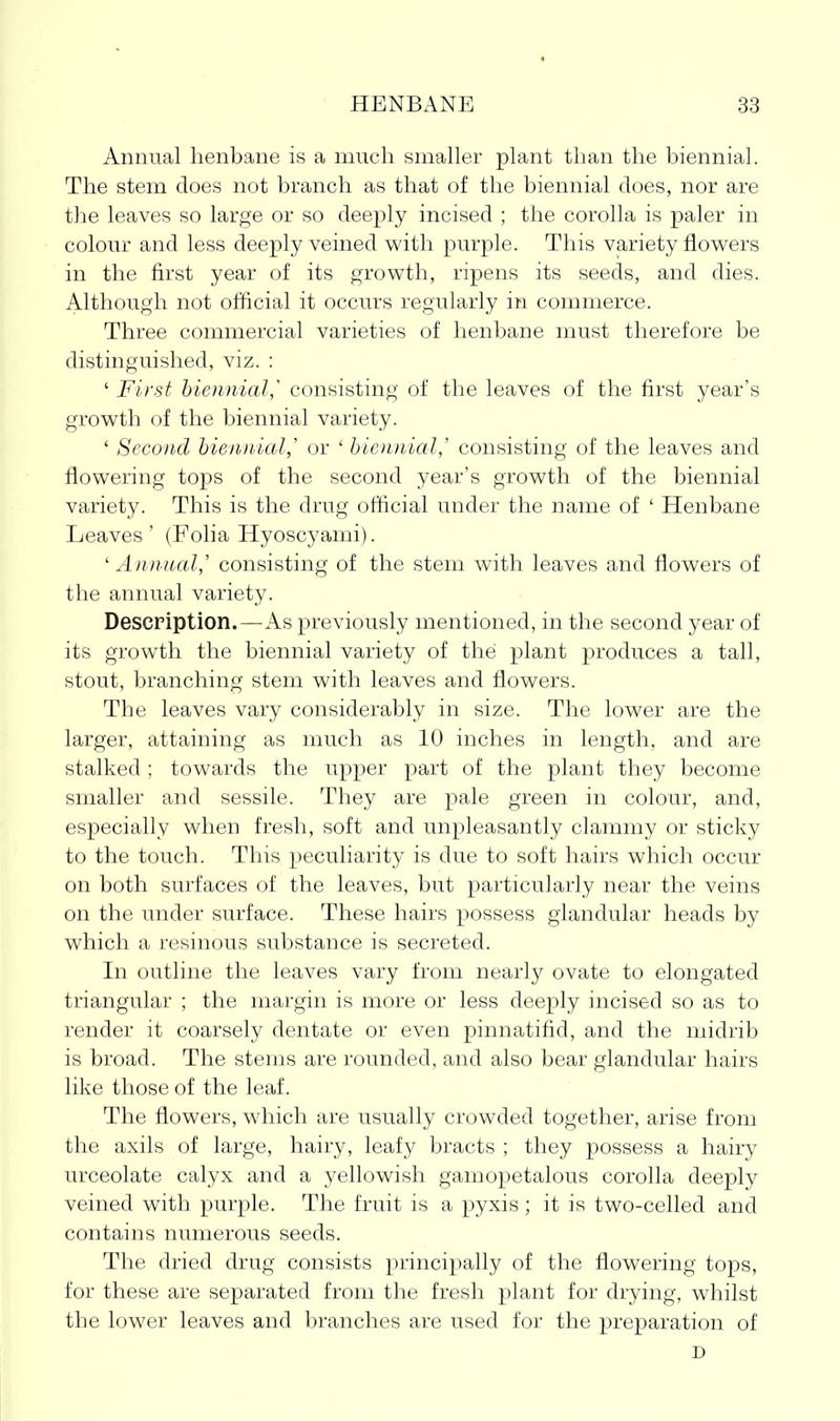 Annual henbane is a much smaher plant than the biennial. The stem does not branch as that of the biennial does, nor are tJie leaves so large or so deeply incised ; the corolla is paler in coloiir and less deeply veined with purple. This variety flowers in the first year of its growth, ripens its seeds, and dies. Although not official it occurs regularly in commerce. Three commercial varieties of henbane must therefore be distinguished, viz. : ' First biennial,' consisting of the leaves of the first year's growth of the biennial variety. ' Second bienidal,' or ' biennial,' consisting of the leaves and flowering tops of the second year's growth of the biennial variety. This is the drug official under the name of ' Henbane Leaves' (Folia Hyoscyami). 'Annual,' consisting of the stem with leaves and flowers of the annual variety. Description.—As previously mentioned, in the second year of its growth the biennial variety of the plant produces a tall, stout, branching stem with leaves and flowers. The leaves vary considerably in size. The lower are the larger, attaining as much as 10 inches in length, and are stalked ; towards the upper part of the plant they become smaller and sessile. They are pale green in colour, and, especially when fresh, soft and unpleasantly clammy or sticky to the touch. This peculiarity is due to soft hairs which occur on both surfaces of the leaves, but x^articularly near the veins on the under surface. These hairs possess glandular heads by which a resinous substance is secreted. In outline the leaves vary from nearly ovate to elongated triangular ; the margin is more or less deeply incised so as to render it coarsely dentate or even pinnatifid, and the midrib is broad. The stems are rounded, and also bear glandular hairs like those of the leaf. The flowers, which are usually crowded together, arise from the axils of large, hairy, leafy bracts ; they possess a hairy urceolate calyx and a yellowish gamopetalous corolla deeply veined with purple. The fruit is a pyxis; it is two-celled and contains numerous seeds. The dried drug consists principally of the flowering tops, for these are separated from the fresh plant for drying, whilst the lower leaves and branches are used for the preparation of D
