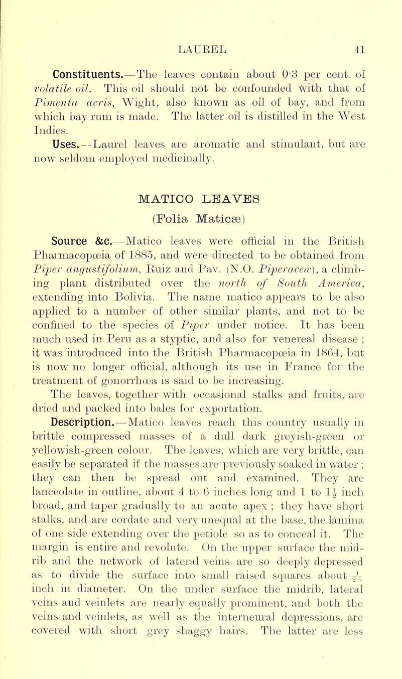 Constituents.—The leaves contain about 0-8 per cent, of volatile oil. This oil should not be confounded \vith that of Pimenta acris, Wight, also known as oil of bay, and from which bay rum is made. The latter oil is distilled in the West Indies. Uses.—Laurel leaves are aromatic and stimulant, but are now seldom employed medicinally. MATICO LEAVES (Folia Maticse) Source &C.—Matico leaves were official in the British Pharmacopoeia of 1885, and were directed to be obtained from Piper angustifoliiivi, Ruiz and Pav. (N.O. Piperacea-), a climb- ing plant distributed over the north of South America, extending into Bolivia. The name matico appears to be also applied to a number of other similar plants, and not to be confined to the species of Piper under notice. It has been much used in Peru as a styptic, and also for venereal disease ; it was introduced into the British Pharmacoptcia in 1864, but is now no longer official, although its use in France for the treatment of gonorrhoea is said to be increasing. The leaves, together with occasional stalks and fruits, are dried and packed into bales for exportation. Description.—Matico leaves reach this country usually in brittle compressed masses of a dull dark greyish-green or yellowish-green coloiu'. The leaves, wliich are very brittle, can easily be separated if the masses are previously soaked in water ; they can then be spread out and examined. They are lanceolate in outline, about 4 to 6 inches long and 1 to li inch broad, and taper graduallj^ to an acute apex ; they have short stalks, and are cordate and very unequal at the base, the lamina of one side extending over the petiole so as to conceal it. The margin is entire and revolute. On the upper surface the mid- rib and the network of lateral veins are so deeply depressed as to divide the surface into small raised squares about ttV, inch in diameter. On the under surface the midrib, lateral veins and veinlets are nearly equally prominent, and both the veins and veinlets, as well as the interneural depressions, are covered with short grey shaggy hairs. The latter are less