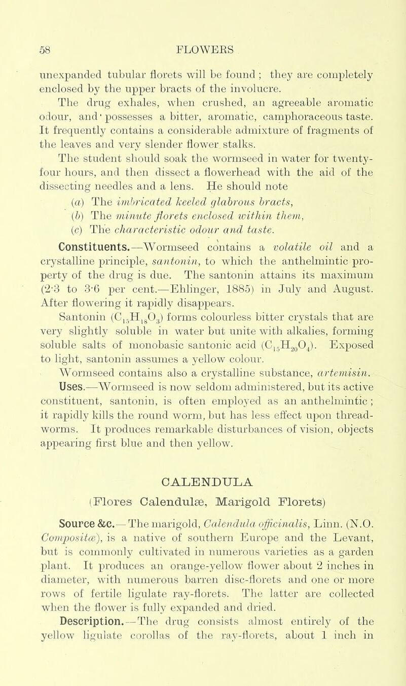 unexpanded tubular florets will be found ; they are completely enclosed by the upper bracts of the involucre. The drug exhales, when crushed, an agreeable aromatic odour, and' possesses a bitter, aromatic, camphoraceous taste. It frequently contains a considerable admixture of fragments of the leaves and very slender flower stalks. The student should soak the wormseed in water for twenty- four hours, and then dissect a flowerhead with the aid of the dissecting needles and a lens. He should note (a) The imbricated Jceeled glabrous bracts, [b) The minute florets enclosed within them, {c) The characteristic odour and taste. Constituents.—Wormseed contains a volatile oil and a crystalline principle, sa)itonin, to which the anthelmintic pro- perty of the drug is due. The santonin attains its maximum (2'3 to 3'6 per cent.—Ehlinger, 1885) in July and August. After flowering it rapidly disappears. Santonin (C|-H,gO.,) forms colourless bitter crystals that are very slightly soluble in water but unite with alkalies, forming soluble salts of monobasic santonic acid (G^Ji^fi^. Exposed to light, santonin assumes a yellow colour. Wormseed contains also a crystalline substance, artcmisin. Uses.—Wormseed is now seldom administered, but its active constituent, santonin, is often employed as an anthelmintic; it rapidly kills the round worm, but has less effect upon thread- worms. It produces remarkable disturbances of vision, objects appearing first blue and then yellow. CALENDULA (Flores CalendLilEe, Marigold Florets) Source &C.— The marigold, Calendula officinalis, Linn. (N.O. Compositic), is a native of southern Europe and the Levant, but is commonly cultivated in numerous varieties as a garden plant. It produces an orange-yellow flower about 2 inches in diameter, with numerous barren disc-florets and one or more rows of fertile ligulate ray-florets. The latter are collected when the flower is fully expanded and dried. Description.—The drug consists almost entirely of the yellow ligulate corollas of the ray-florets, about 1 inch in
