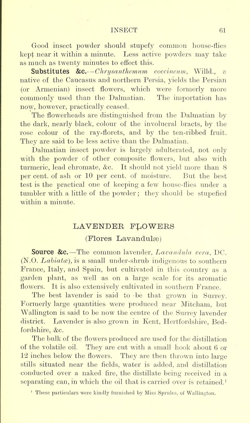 Good insect powder should stupefy common house-flies kept near it within a minute. Less active powders may take as much as twenty minutes to effect this. Substitutes &Le,.-—Clirtjsanthcmnm coccineuin, Willd., & native of the Caucasus and northern Persia, yields the Persian (or Armenian) insect flowers, which were formerly more commonly used than the Dalmatian. The iinportation has now, however, practically ceased. The flowerheads are distinguished from the Dalmatian by the dark, nearly black, colour of the involucral bracts, by the rose colour of the ray-florets, and by the ten-ribbed fruit. They are said to be less active than the Dalmatian. Dalmatian insect powder is largely adulterated, not only with the powder of other composite flowers, but also with turmeric, lead chromate, l^c. It should not jdeld more than 8 per cent, of ash or 10 per cent, of moisture. But the best test is the practical one of keeping a few house-flies under a tumbler with a little of the powder; they should be stupefied within a minute. LAVENDER F^l^OWERS (Plores LavandulEe) Source &C.—The common lavender, Lavaiidida vera, DC. (N.O. Labiates), is a small under-shrub indigenous to southern France, Italy, and Spain, but cultivated in this country as a garden plant, as well as on a large scale for its aromatic flowers. It is also extensively cultivated in southern France. The best lavender is said to -be that grown in Surrey. Formerly large quantities were produced near Mitcham, but AVallington is said to be now the centre of the Surrey lavender district. Lavender is also grown in Kent, Hertfordshire, Bed- fordshire, &c. The bulk of the flowers produced are used for the distillation of the volatile oil. They are cut with a small hook about 6 or 12 inches below the flowers. They are then thrown into large stills situated near the fields, water is added, and distillation conducted over a naked fire, the distillate being received in a separating can, in which the oil that is carried over is retained.' ' These particulars were kindly furnished by Miss Sprules, of Wallington.