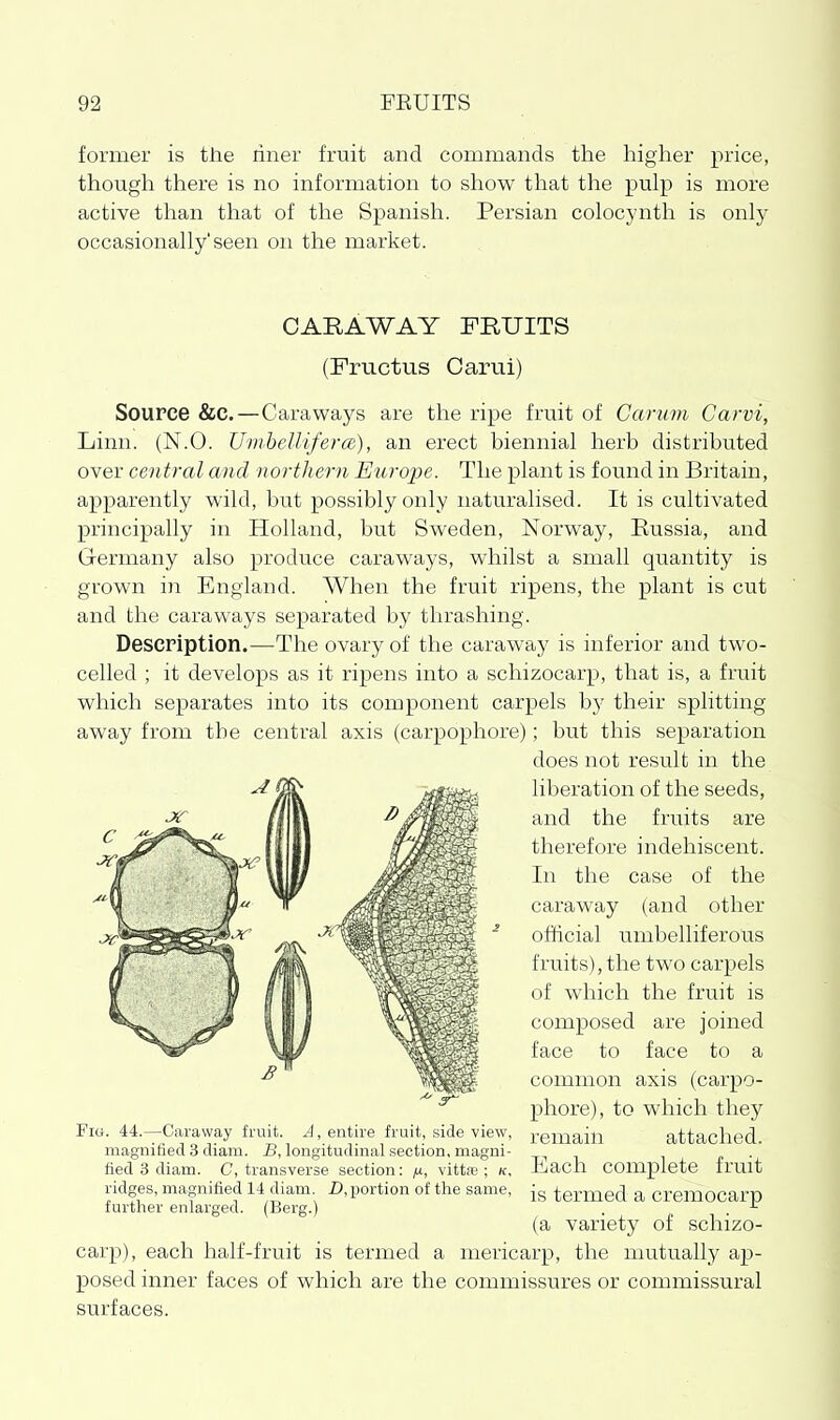 former is the riner fruit and commands the higher price, though there is no information to show that the pulp is more active than that of the Spanish. Persian colocynth is only occasionally'seen on the market. CARAWAY FRUITS (Fructus Cami) Source &c.—Caraways are the ripe fruit of Carum Carvi, Linn. (N.O. UmhelliferoR), an erect biennial herb distributed over central and northern Europe. The plant is found in Britain, apparently wild, but possibly only naturalised. It is cultivated principally in Holland, but Sweden, Norway, Russia, and Germany also produce caraways, whilst a small quantity is grown in England. When the fruit ripens, the plant is cut and the caraways separated by thrashing. Description.—The ovary of the caraway is inferior and two- celled ; it develops as it ripens into a schizocarp, that is, a fruit which separates into its component carpels by their splitting away from the central axis (carpophore); but this separation does not result in the liberation of the seeds, and the fruits are therefore indehiscent. In the case of the caraway (and other official umbelliferous fruits), the two carpels of which the fruit is composed are joined face to face to a common axis (carpo- phore), to which they Fig. 44.—Caraway fruit. A, entire fruit, side view, x'emain attached magnified 3 diam. B, longitudinal section, magni- -^^ , „ . fiedSdiam. C, transverse section: ^, vitta;; k, Lach complete fruit ridges, magnified 14 diam Z), portion of the same, termed a cremocarp lurther enlarged. (Berg.) . . ^ (a variety of schizo- carp), each half-fruit is termed a mericarp, the mutually ap- posed inner faces of which are the commissures or commissural surfaces.