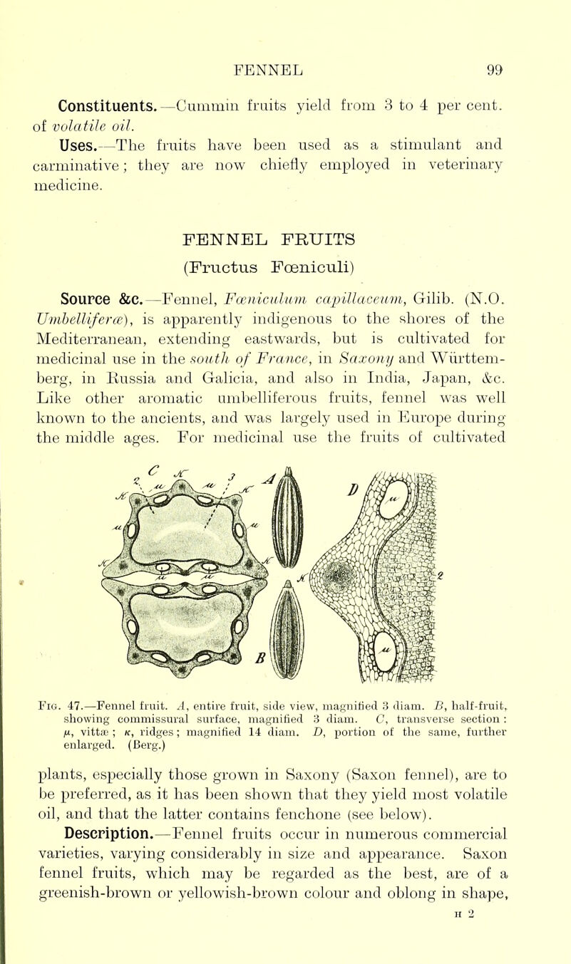 Constituents.—Guiamui fruits yield from 3 to 4 percent, of volatile oil. Uses.—The fruits have been used as a stimulant and carminative; they are now chiefly employed in veterinary medicine. F.ENNBL FRUITS (Fructus Foeiiiciili) Source &e.—Fennel, Fu'iucultim capillacetovi, Gilib. (N.O. Umhellifercc), is apparently indigenous to the shores of the Mediterranean, extending eastwards, but is cultivated for medicinal use in the south of France, in Saxony and Wiirttem- berg, in Russia and Galicia, and also in India, Japan, &c. Like other aromatic umbelliferous fruits, fennel was well known to the ancients, and was largely used in Europe during the middle ages. For medicinal use the fruits of cultivated Fig. 47.—Fennel fruit. A, entire fruit, side view, magnified 'A diam. B, half-fruit, showing commissural surface, magnified 3 diam. C, transverse section : H, vitt* ; K, ridges; magnified 14 diam. D, portion of the same, further enlarged. (Berg.) plants, especially those grown in Saxony (Saxon fennel), are to be preferred, as it has been shown that they yield most volatile oil, and that the latter contains fenchone (see below). Description.—Fennel fruits occur in numerous commercial varieties, varying considerably in size and appearance. Saxon fennel fruits, which may be regarded as the best, are of a greenish-brown or yellowish-brown colour and oblong in shape, H 2