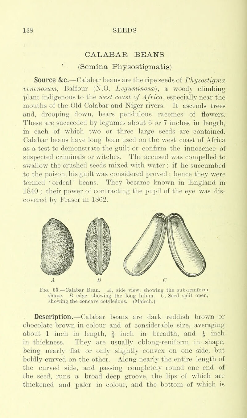 CALABAR BEANS (Semina Physostigmatis) Source &C.—Calabar beans are the ripe seeds of Physostigma venenosum, Balfour (N.O. Legicminosce), a woody clinabing plant indigenous to the loest coast of Africa, especially near the mouths of the Old Calabar and Niger rivers. It ascends trees and, drooping down, bears pendulous racemes of flowers. These are succeeded by legumes about 6 or 7 inches in length, in each of which two or three large seeds are contained. Calabar beans have long been used on the west coast of Africa as a test to demonstrate the guilt or confirm the innocence of suspected criminals or witches. The accused was compelled to swallow the crushed seeds mixed with water : if he succumbed to the poison, his guilt was considered proved ; hence they were termed ' ordeal' beans. They became known in England in 1840 ; their power of contracting the pupil of the eye was dis- covered by Fraser in 1862. Fig. Co.—Calabar Beau. .-1, side view, showing the sub-reniform shape. B, edge, showing the long hilum. C, Seed split open, showing the concave cotyledons. (Maisch.) Descpiption.—Calabar beans are dark reddish brown or chocolate brown in colour and of considerable size, averaging about 1 inch in length, | inch in breadth, and \ inch in thickness. They are usually oblong-reniform in shape, being nearly flat or only slightly convex on one side, but boldly curved on the other. Along nearly the entire length of the curved side, and passing completely round one end of the seed, runs a broad deep groove, the lips of which are thickened and paler in colour, and the bottom of which is