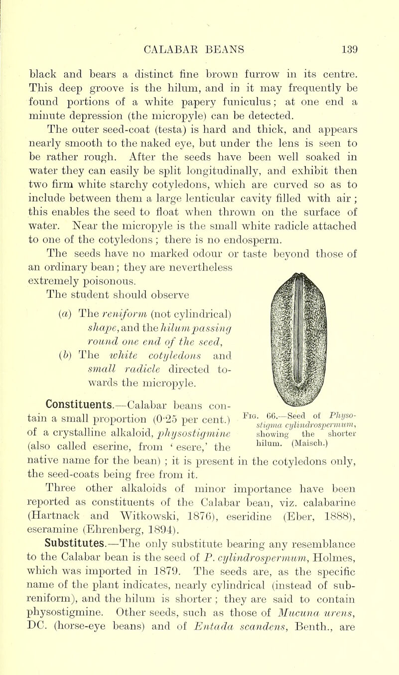 black and bears a distinct fine brown furrow in its centre. This deep groove is the hikim, and in it may frequently be fonnd portions of a white papery fnniculns; at one end a minute depression (the micropyle) can be detected. The outer seed-coat (testa) is hard and thick, and appears nearly smooth to the naked eye, but under the lens is seen to be rather rough. After the seeds have been well soaked in water they can easily be split longitudinally, and exhibit then two firm white starchy cotyledons, which are curved so as to include between them a large lenticular cavity filled with air ; this enables the seed to float when thrown on the surface of water. Near the micropyle is the small white radicle attached to one of the cotyledons; there is no endosperm. The seeds have no marked odour or taste beyond those of an ordinary bean ; they are nevertheless extremely poisonous. The student should observe {a) The reniform (not cylindrical) shape, and the hilitmpassing round one end of the seed, (b) The white cotyledons and small radicle directed to- wards the micropyle. Constituents.^Calabar beans con- tain a small proportion (0-'25 per cent.) of a crystalline alkaloid, j^hysostigviine (also called eserine, from ' esere,' the native name for the bean) ; it is present in the cotyledons only, the seed-coats being free from it. Three other alkaloids of minor importance have been reported as constituents of the Calabar bean, viz. calabarine (Hartnack and Witkowski, 1876), eseridine (Eber, 18<S8), eseramine (Ehrenberg, 1894). Substitutes.—The only substitute bearing any resemblance to the Calabar bean is the seed of P. cylindrospermum, Holmes, which was imported in 1879. The seeds are, as the specific name of the plant indicates, nearly cylindrical (instead of sub- reniform), and the hilum is shorter ; they are said to contain physostigmine. Other seeds, such as those of Mucuna urens, DC. (horse-eye beans) and of Entada scandens, Benth., are Fig. 66.—Seed of Phijso- sticjma cylindrospermum, showing the shorter hilum. (Maisch.)