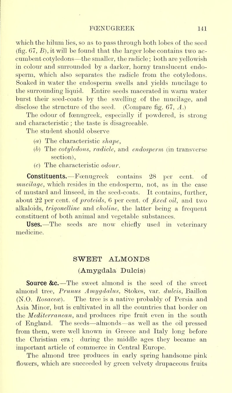 which the hihim Hes, so as to pass through hoth lobes of the seed (fig. 67, B), it will be found that the larger lobe contains two ac- cumbent cotyledons—the smaller, the radicle; both are yellowish in colonr and surrounded by a darker, horny translucent endo- sperm, which also separates the radicle from the cotyledons. Soaked in water the endosperm swells and yields mucilage to the surrounding liquid. Entire seeds macerated in warm water burst their seed-coats by the swelling of the mucilage, and disclose the structure of the seed. (Compare fig. 67, A.) The odour of foenugreek, especially if powdered, is strong and characteristic ; the taste is disagreeable. The student should observe (a) The characteristic shajyc, (b) The cotyledons, radicle, and endosperiii (in transverse section), (c) The characteristic odour. Constituents.—Foenugreek contains '28 per cent, of mucilage, which resides in the endosperm, not, as in the case of mustard and linseed, in the seed-coats. It contains, further, about 22 per cent, of proteids, 6 per cent, of fixed oil, and two alkal(.)ids, trigonelline and choline, the latter being a frequent constituent of both animal and vegetable substances. Uses.—The seeds are now chiefly used in veterinary medicine. SWEET ALMONDS (Amygdala Dulcis) Source &C.—The sweet almond is the seed of the sweet almond tree, Pniniis Amygdalus, Stokes, var. didcis, Baillon (N.O. BosacecB). The tree is a native probably of Persia and Asia Minor, but is cultivated in all the countries that border on the Mediterranean, and produces ripe fruit even in the south of England. The seeds—almonds—as well as the oil pressed from them, were well known in Greece and Italy long before the Christian era ; during the middle ages they became an important article of commerce in Central Europe. The almond tree produces in early spring handsome pink flowers, which are succeeded by green velvety drupaceous fruits