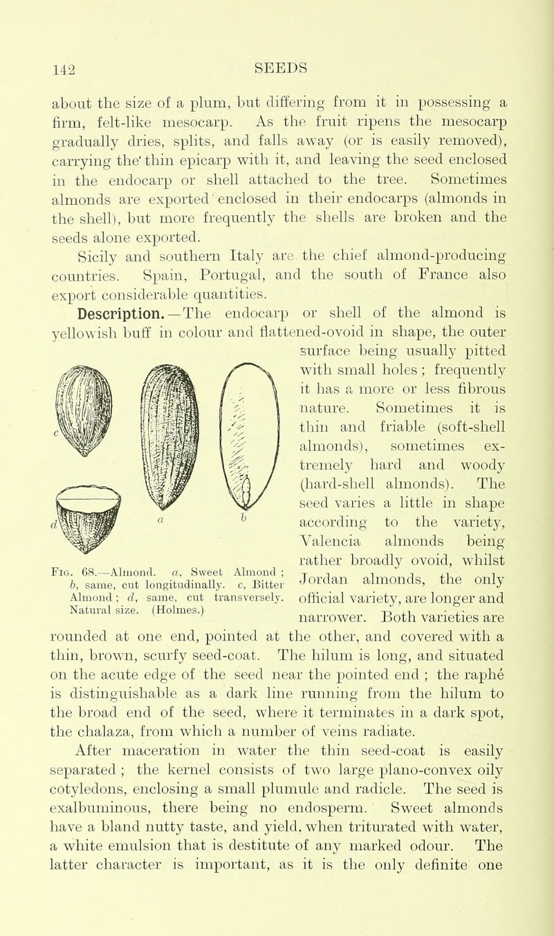 about the size of a pkxm, but differing from it in possessing a firm, felt-like mesocarp. As the fruit ripens the mesocarp gradually dries, splits, and falls away (or is easily removed), carrying the' thin epicarp with it, and leaving the seed enclosed in the endocarp or shell attached to the tree. Sometimes almonds are exported 'enclosed in their endocarps (almonds in the shell), but more frequently the shells are broken and the seeds alone exported. Sicily and southern Italy are the chief almond-producing countries. Spain, Portugal, and the south of France also export considerable quantities. Description.—The endocarp or shell of the almond is yellowish l)uff in colour and flattened-ovoid in shape, the outer surface being usually pitted with small holes ; frequently it has a more or less fibrous nature. Sometimes it is thin and friable (soft-shell almonds), sometimes ex- tremely hard and woody (hard-shell almonds). The seed varies a little in shape according to the variety, Valencia almonds being rather broadly ovoid, whilst Jordan almonds, the only official variety, are longer and narrower. Both varieties are rounded at one end, pointed at the other, and covered with a thin, brown, scurfy seed-coat. The hilum is long, and situated on the acute edge of the seed near the pointed end ; the raphe is distinguishable as a dark line running from the hilum to the broad end of the seed, where it terminates in a dark spot, the chalaza, from which a number of veins radiate. After maceration in water the thin seed-coat is easily separated ; the kernel consists of two large plano-convex oily cotyledons, enclosing a small plumule and radicle. The seed is exalbuminous, there being no endosperm. Sweet almonds have a bland nutty taste, and yield, when triturated with water, a white emulsion that is destitute of an)' marked odour. The latter character is important, as it is the only definite one Fig. 68.—Almond, a. Sweet Almond ; b, same, cut longitudinally, c, Bitter Almond; d, same, cut transversely. Natural size. (Holmes.)