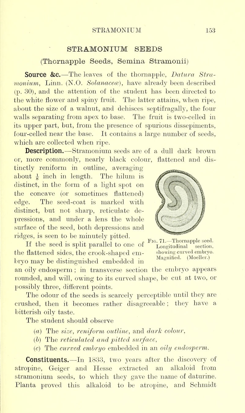 STRAMONIUM SEEDS (Thornapple Seeds, Semina Stramoiiii) Source &C.—The leaves of the thornapple, Datura Stra- monium, Lmn. (N.O. Solanacece), have ah'eady been described (p. 30), and the attention of the student has been directed to the white flower and spiny fruit. The latter attains, when ripe, about the size of a walnut, and dehisces septifragally, the four walls sejDarating from apex to base. The fruit is two-celled in its upper part, but, from the presence of spurious dissepiments, four-celled near the base. It contains a large number of seeds, which are collected when ripe. Description.—Stramonium seeds are of a dull dark brown or, more commonly, nearly black colour, flattened and dis- tinctly reniform in outline, averaging about ^ inch in length. The hilum is distinct, in the form of a light spot on the concave (or sometimes flattened) edge. The seed-coat is marked with distinct, but not sharp, reticulate de- pressions, and under a lens the whole surface of the seed, both depressions and ridges, is seen to be minutely pitted. -ri> ,1 -I ■ T, ^^ ^ , i> FiG. 71.—Thoniapple seed. If the seed is split parallel to one of Longitudinal section, the flattened sides, the crook-shaped em- showing curved embvyo. , 1 T J.- -IT 1111- Magmtied. (Moellev.) Inyo may be distinguished embedded m an oily endosperm ; in transverse section the embryo appears rounded, and will, owing to its curved shape, be cut at two, or possibly three, different points. The odour of the seeds is scarcely perceptible until they are crushed, then it becomes rather disagreeable; the}' have a bitterish oily taste. The student should observe {a) The size, reniform outline, and dark colour, (h) The reticulated and 2?itted surface, ic) The curved embryo embedded in an oily endos])Grm. Constituents.—In 1833, two years after the discovery of atropine, Geiger and Hesse extracted an alkaloid from stramonium seeds, to which they gave the name of daturine. Planta proved this alkaloid to be atropine, and Schmidt
