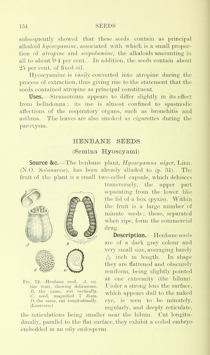 subseqiTently showed that these seeds contain as principal alkaloid lujoscijamine, associated with which is a small propor- tion of atropine and scopolamine, the alkaloids -amounting in all to about '0-4 per cent. In addition, the seeds contain about 25 per cent, of fixed oil. Hyoscyamine is easily converted into atropine during the process of extraction, thus giving rise to the statement that the seeds contained atropine as principal constituent. Uses.—Stramonium appears to differ slightly in its effect from belladonna; its use is almost confined to spasmodic affectioi:is of the respiratory organs, such as bronchitis and asthma. The leaves are also smoked as cigarettes during the paroxysm. HENBANE SEEDS (Semina Hyoscyami) Source &C.—The henbane plant, Hijoscyamus niger. Linn. (N.O. SoIanacecB), has been already alluded to (p. 31). The fruit of the plant is a small two-celled capsule, which dehisces transversely, the upper part separating from the lower like the lid of a box (pyxis). Within the fruit is a large number' of minute seeds; these, separated when ripe, form the commercial drug. Description.—Henbane seeds are of a dark grey colour and very small size, averaging barely jir- inch in length. In shape they are flattened and obscurely reniform, being slightly pointed at one extremity (the liilum). Under a strong lens the surface, which appears dull to the naked eye, is seen to be minutely, regularly, and deeply reticulate, the reticulations being smaller near the hilum. Cut longitu- dinally, parallel to the flat surface, they exhibit a coiled embryo embedded in an oily endosperm. Fig. 72.—Henbane seed. .4, en- tire fruit, showing dehiscence. B, the same, cut vertically. G, seed, magnified 7 diam. D, the same, cut longitudinally. (Luerssen.)