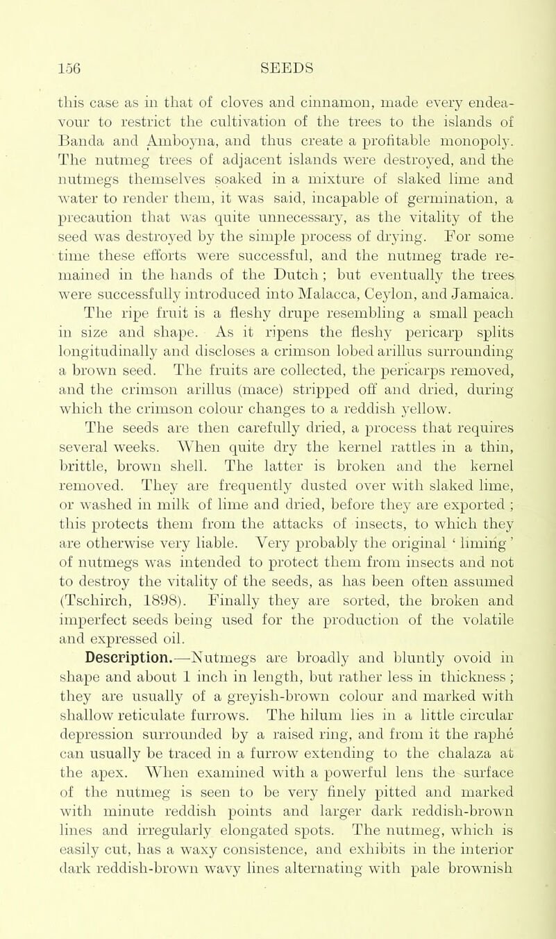 this case as in that of cloves and cinnamon, made every endea- vour to restrict the cultivation of the trees to the islands of Banda and Amboyna, and thus create a profitable monopoly. The nutmeg trees of adjacent islands were destroyed, and the nutmegs themselves soaked in a mixture of slaked lime and water to render them, it was said, incapable of germination, a precaution that was quite unnecessary, as the vitality of the seed was destroyed by the simple process of drying. For some time these efforts were successful, and the nutmeg trade re- mained in the hands of the Dutch ; but eventually the trees were successfully introduced into Malacca, Ceylon, and Jamaica. The ripe fruit is a fleshy drupe resembling a small peach in size and shape. As it ripens the fleshy pericarp splits longitudinally and discloses a crimson lobed arillus surrounding a brown seed. The fruits are collected, the pericarps removed, and the crimson arillus (mace) stripped off and dried, during which the crimson colour changes to a reddish yellow. The seeds are then carefully dried, a process that requires several weeks. When quite dry the kernel rattles in a thin, brittle, brown shell. The latter is broken and the kernel removed. They are frequently dusted over with slaked lime, or washed in milk of lime and dried, before they are exported ; this protects them from the attacks of insects, to which they are otherwise very liable. Very probably the original ' Inning' of nutmegs was intended to protect them from insects and not to destroy the vitality of the seeds, as has been often assumed (Tschirch, 1898). Finally they are sorted, the broken and imperfect seeds being used for the production of the volatile and expressed oil. Description.—Nutmegs are broadly and bluntly ovoid in shape and about 1 inch in length, but rather less in thickness; they are usually of a greyish-brown colour and marked with shallow reticulate furrows. The hilum lies in a little circular depression surrounded by a raised ring, and from it the raphe can usually be traced in a furrow extending to the chalaza at the apex. When examined with a powerful lens the surface of the nutmeg is seen to be very finely pitted and marked with minute reddish points and larger dark reddish-bro^\ii lines and irregularly elongated spots. The nutmeg, which is easily cut, has a waxy consistence, and exhibits in the interior dark reddish-brown wavy lines alternating with pale brownish