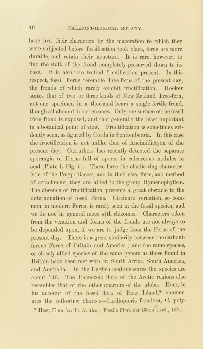 have lost their characters by the maceration to which they were subjected before fossilisation took place, ferns are more durable, and retain their structure. It is rare, however, to find the stalk of the frond completely preserved down to its base. It is also rare to find fructification present. In this respect, fossil Ferns resemble Tree-ferns of the present day, the fronds of which rarely exhibit fructification. Hooker states that of two or three kinds of New Zealand Tree-fern, not one specimen in a thousand bears a single fertile frond, though all abound in barren ones. Only one surface of the fossil Fern-frond is exposed, and that generally the least important in a botanical point of view. Fructification is sometimes evi- dently seen, as figured by Corda in Scnftenbergia. In this case the fructification is not unlike that of Aneimidictyon of the present day. Carruthers has recently detected the separate sporangia of Ferns full of spores in calcareous nodules in coal (Plate I. Fig. 5). These have the elastic ring character- istic of the Polypodiaceae, and in their size, form, and method of attachment, they are allied to the group Hymenophyllete. The absence of fructification presents a great obstacle to the determination of fossil Ferns. Circulate vernation, so com- mon in modern Ferns, is rarely seen in the fossil species, and we do not in general meet with rhizomes. Characters taken from the venation and forms of the fronds are not always to be depended upon, if we are to judge from the Ferns of the present day. There is a great similarity between the carboni- ferous Ferns of Britain and America; and the same species, or closely allied species of the same genera as those found in Britain have been met with in South Africa, South America, and Australia. In the English coal-measures the species are about 140. The Palaeozoic flora of the Arctic regions also resembles that of the other quarters of the globe. Heer, in his account of the fossil flora of Bear Island,* enumer- ates the following plants:—Cardiopteris frondosa, C. poly- * Heer, Flora fossilis Arctica ; Fossile Flora der Baren Insel., 1871.