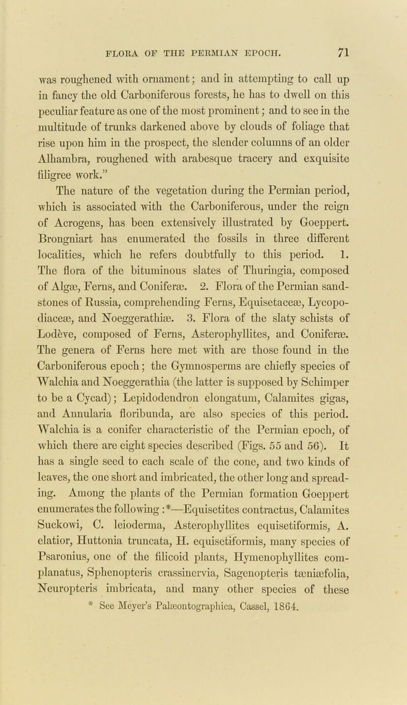 was roughened with ornament; and in attempting to call up in fancy the old Carboniferous forests, he has to dwell on this peculiar feature as one of the most prominent; and to see in the multitude of trunks darkened above by clouds of foliage that rise upon him in the prospect, the slender columns of an older Alhambra, roughened with arabesque tracery and exquisite filigree work.” The nature of the vegetation during the Permian period, which is associated with the Carboniferous, under the reign of Acrogens, has been extensively illustrated by Goeppert. Brongniart has enumerated the fossils in three different localities, which he refers doubtfully to this period. 1. The flora of the bituminous slates of Thuringia, composed of Algai, Ferns, and Coniferae. 2. Flora of the Permian sand- stones of Russia, comprehending Ferns, Equisetaceae, Lycopo- diaceae, and Noeggerathiae. 3. Flora of the slaty schists of Lodbve, composed of Ferns, Asterophyllites, and Coniferae. The genera of Ferns here met with are those found in the Carboniferous epoch; the Gymnosperms are chiefly species of Walchia and Noeggerathia (the latter is supposed by Schimper to be a Cycad); Lepidodendron elongatum, Calamites gigas, and Annularia floribuuda, are also species of this period. Walchia is a conifer characteristic of the Permian epoch, of which there are eight species described (Figs. 55 and 56). It has a single seed to each scale of the cone, and tivo kinds of leaves, the one short and imbricated, the other long and spread- ing. Among the plants of the Permian formation Goeppert enumerates the following :*—Equisetites contractus, Calamites Suckowi, C. leioderma, Asterophyllites equisetiformis, A. clatior, Huttonia truncata, H. equisetiformis, many species of Psaronius, one of the filicoid plants, Hymenophyllites com- planatus, Sphenopteris crassiucrvia, Sagenoptcris taeniaefolia, Neuropteris imbricata, and many other species of these * See Meyer’s Palseontographica, Cassel, 1864.