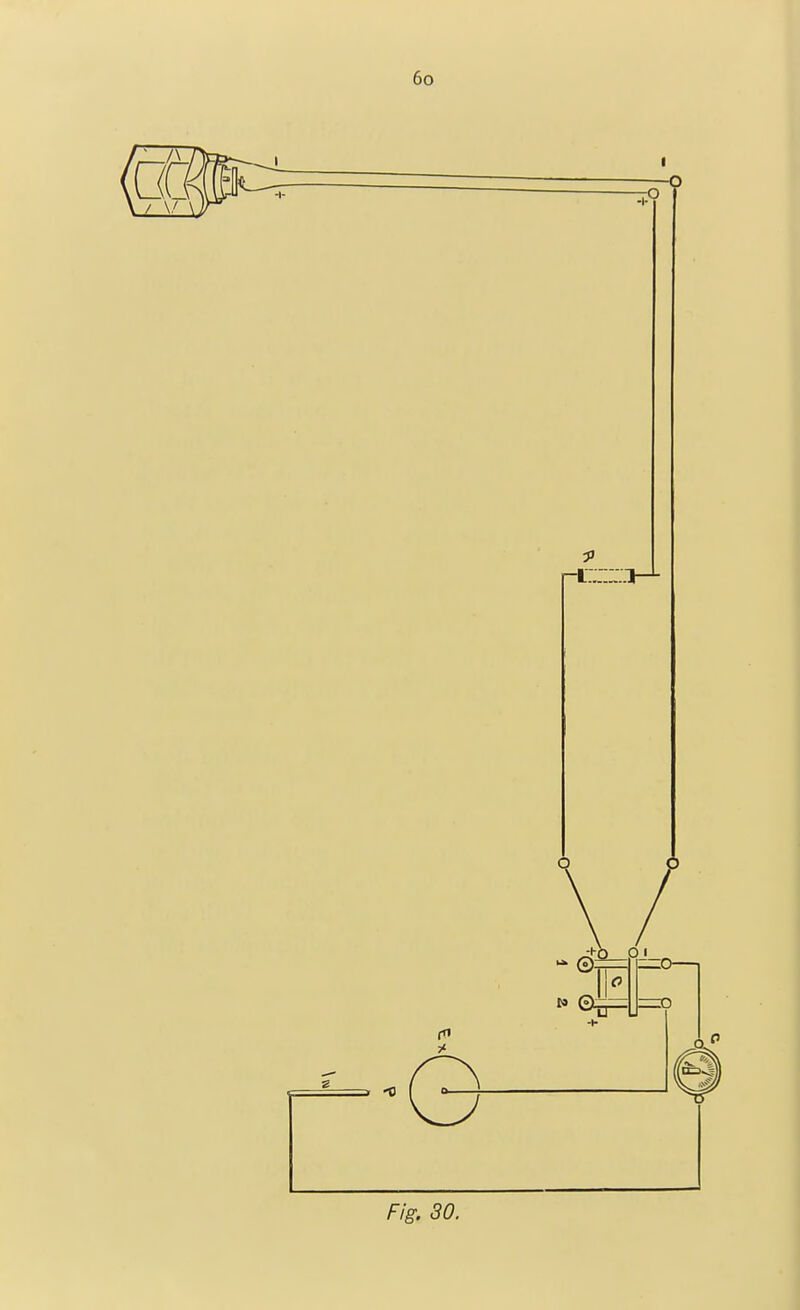 Fig. 30.