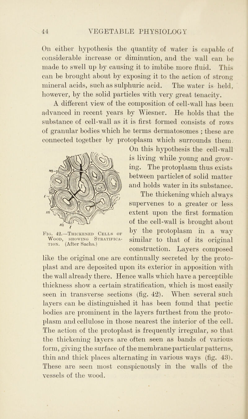 On either hypothesis the quantity of water is capable of considerable increase or diminution, and the wall can be made to swell up by causing it to imbibe more fluid. This can be brought about by exposing it to the action of strong mineral acids, such as sulphuric acid. The water is held, however, by the solid particles with very great tenacity. A different view of the composition of cell-wall has been advanced in recent years by Wiesner. He holds that the substance of cell-wall as it is first formed consists of rows of granular bodies which he terms dermatosomes ; these are connected together by protoplasm which surrounds them. On this hypothesis the cell-wall is living while young and grow- ing. The protoplasm thus exists between particles of solid matter and holds water in its substance. The thickening which always supervenes to a greater or less extent upon the first formation of the cell-wall is brought about by the protoplasm in a way similar to that of its original construction. Layers composed like the original one are continually secreted by the proto- plast and are deposited upon its exterior in apposition with the wall already there. Hence walls which have a perceptible thickness show a certain stratification, which is most easilv seen in transverse sections (fig. 42). When several such layers can be distinguished it has been found that pectic bodies are prominent in the layers furthest from the proto- plasm and cellulose in those nearest the interior of the cell. The action of the protoplast is frequently irregular, so that the thickening layers are often seen as bands of various form, giving the surface of the membrane particular patterns, thin and thick places alternating in various ways (fig. 48). These are seen most conspicuously in the walls of the vessels of the wood. Fig. 42.—Thickened Cells of Wood, showing Stratifica- tion. (After Sachs.)