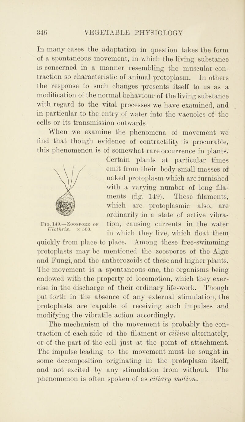 In many cases the adaptation in question takes the form of a spontaneous movement, in which the living substance is concerned in a manner resembling the muscular con- traction so characteristic of animal protoplasm. In others the response to such changes presents itself to us as a modification of the normal behaviour of the living substance with regard to the vital processes we have examined, and in particular to the entry of water into the vacuoles of the cells or its transmission outwards. When we examine the phenomena of movement we find that though evidence of contractility is procurable, this phenomenon is of somewhat rare occurrence in plants. Fig. 141).—Zoospoke of Ulothrix. x 500. Certain plants at particular times emit from their body small masses of naked protoplasm which are furnished with a varying number of long fila- ments (fig. 149). These filaments, which are protoplasmic also, are ordinarily in a state of active vibra- tion, causing currents in the water in which they live, which float them quickly from place to place. Among these free-swimming protoplasts may be mentioned the zoospores of the Algae and Fungi, and the antherozoids of these and higher plants. The movement is a spontaneous one, the organisms being endowed with the property of locomotion, which they exer- cise in the discharge of their ordinary life-work. Though put forth in the absence of any external stimulation, the protoplasts are capable of receiving such impulses and modifying the vibratile action accordingly. The mechanism of the movement is probably the con- traction of each side of the filament or ciliiim alternately, or of the part of the cell just at the point of attachment. The impulse leading to the movement must be sought in some decomposition originating in the protoplasm itself, and not excited by any stimulation from without. The phenomenon is often spoken of as ciliary motion.