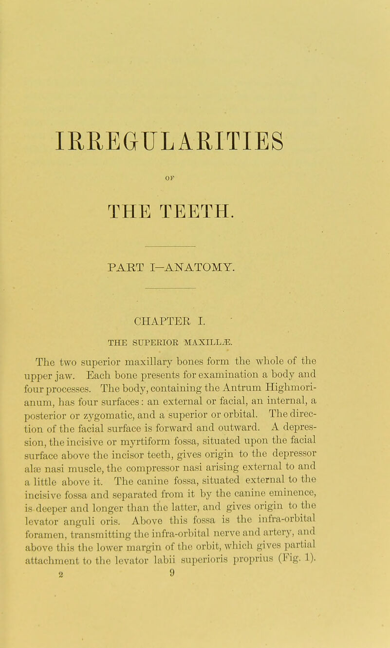 IRREGULARITIES OP THE TEETH. PART I-ANATOMY. CHAPTER I. THE SUPERIOR MAXILLiE. The two superior maxillary bones form the whole of the upper jaw. Each bone presents for examination a body and four processes. The body, containing the Antrum Highmori- anum, has four surfaces: an external or facial, an internal, a posterior or zygomatic, and a superior or orbital. The direc- tion of the facial surface is forward and outward. A depres- sion, the incisive or myrtiform fossa, situated upon the facial surface above the incisor teeth, gives origin to the depressor al£e nasi muscle, the compressor nasi arising external to and a little above it. The canine fossa, situated external to the incisive fossa and separated from it by the canine eminence, is deeper and longer than the latter, and gives origin to the levator anguli oris. Above this fossa is the infra-orbital foramen, transmitting the infra-orbital nerve and artery, and above this the lower margin of the orbit, which gives partial attachment to the levator labii superioris proprius (Fig. 1).