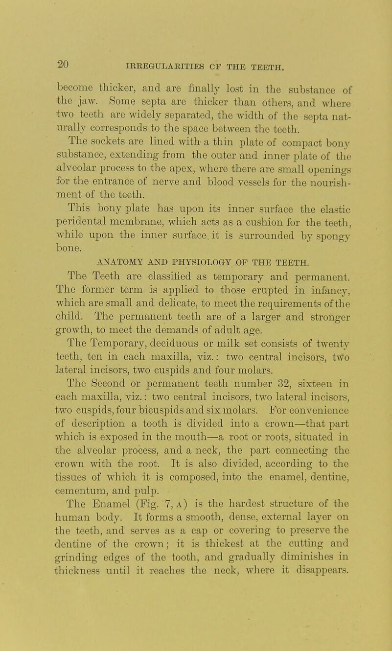 become thicker, and are finally lost in the substance of the jaw. Some septa are thicker than others, and where two teeth are widely separated, the width of the septa nat- urally corresponds to the space between the teeth. The sockets are lined with a thin plate of compact bony substance, extending from the outer and inner plate of the alveolar process to the apex, where there are small openings for the entrance of nerve and blood vessels for the nourish- ment of the teeth. This bony plate has upon its inner surface the elastic peridental membrane, which acts as a cushion for the teeth, while upon the inner surface, it is surrounded by spongy bone. ANATOMY AND PHYSIOLOGY OF THE TEETH. The Teeth are classified as temporary and permanent. The former term is applied to those erupted in infancy, which are small and delicate, to meet the requirements of the child. The permanent teeth are of a larger and stronger growth, to meet the demands of adult age. The Temporary, deciduous or milk set consists of twenty teeth, ten in each maxilla, viz.: two central incisors, two lateral incisors, two cuspids and four molars. The Second or permanent teeth number 32, sixteen in each maxilla, viz.: two central incisors, two lateral incisors, two cuspids, four bicuspids and six molars. For convenience of description a tooth is divided into a crown—that part Avhich is exposed in the mouth—a root or roots, situated in the alveolar process, and a neck, the part connecting the crown with the root. It is also divided, according to the tissues of which it is composed, into the enamel, dentine, cementum, and pulp. The Enamel (Fig. 7, a) is the hardest structure of the human body. It forms a smooth, dense, external layer on the teeth, and serves as a cap or covering to preserve the dentine of the crown; it is thickest at the cutting and grinding edges of the tooth, and gradually diminishes in thickness until it reaches tlie neck, where it disappears.