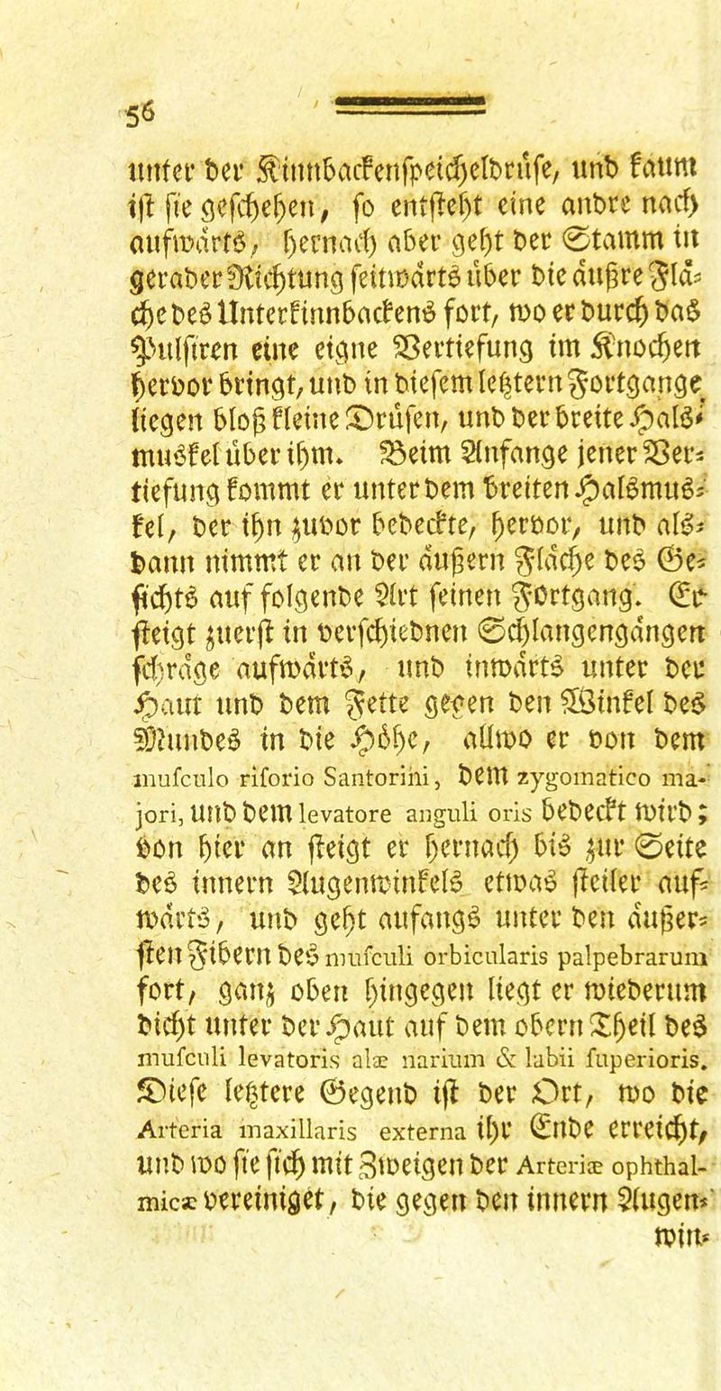 tutfei* t>ei’ ^inn5acFenfpe(d)elt)nife, «nt> fatim i|l fie 9efc^ef)en, fo entf!ei)t eine anbre nacf> (uifaxirfiS; r)cmad) aber ge^t ber 0tamm tu gerabee Dtic^tung feinbdrt^ uber bic dugre 5lds c^c beb Untcrfinnbnchn^ fort, mo ec burc^ ba§ ^Htlftren eine eigne SBeitiefung tm :^'nocfteit l^erbov brtngt, nnb in biefcm le|tevngoi‘tgange liegen blo^ Heine 5)rufen, unbberbreite^aB# mu^f el uber il)tn* ^eim Slnfange jener SSer^ ticfmig fommt er unterbem breiten^al^mu^j {‘el, ber t^n ^ubor bebecfte, ^erbor, nnb al^^ bann nimmt er an ber dugern gidcge be^ 0e^ fi'cgtd auf folgenbe $lrt feinen g^^Hgang. €r- fleigt ^uerji in berfcgiebnen 0cglangcngdngert fcf)rdge aufmdrt^, nnb inmdrt^ unter bcu ^aur nnb bem ^tnfel be§ S}?unbe^ in bte aOmo er bon bem inufculo riforio Santorini, beiU zygomatico ma- jori, Unbbemlevatore anguli oris bebecft tbfl’bj bon gier an j^eigt er gernacf) bib ,^ur 0eite beb innern 5lugenminfelb ettoab jlciler auf= mdrtb, unb gegt aufangb unter ben duger^ fien^ibern beb nmfciili orbicularis palpebrarum fort/ gart;5 obeu gingegen liegt er mieberum bicgt unter ber ^aut auf bem obern ^geil beb mufculi levatoris alae nariiim & labii fuperioris. 5Diefe le|tere ©egenb ijl ber Ort, too bie Arteria maxillaris externa igl’ ^Ube errei^t/ unb mo fte fibg mit 3meigen ber Arteria? ophthal- micscbereiniget, bie gegen ben innern 5(ugen*'