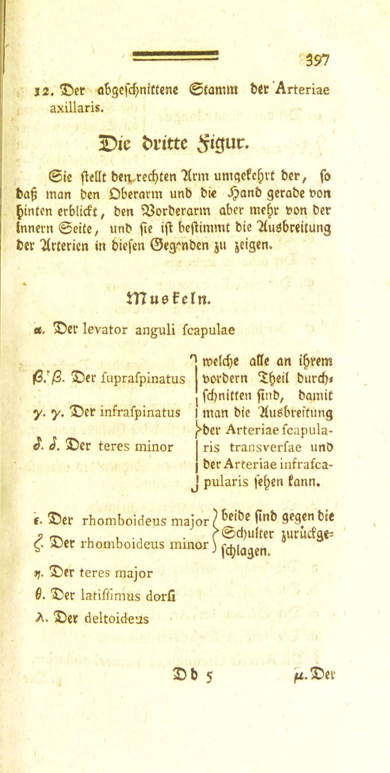 j2, ^cr oBgcfrfjntftcnc 0tamm tw ’Arteriae axillaris. 0ic flcllt bcivrec^ten 7(rm umqcfcf;vt ber, fo ta^ man ben Obcrarm unb bie .^anb gerobe boti ^inten crblicft, ben ^orberarm aber me^r toon bet Inncrn 0eite, unb |ic ijl bejlimmt bic 7(ugbcci(ung bcv ^(ctericn in btefcn ©egf^nbcn ju ieigcn. fS.^/3. 2)er fuprafpinatus toorbcrn ^^eil burcb* I fd)nltten jtnb, bamit y. y. J)et infrafpinatus I man bie 'Ku^bieifung 3Die VTlue^cln. ce. X)ci: levator anguli fcapulae 'l mpfffu ttoe(cf)c otte on i^vem ®er teres minor ^ber Arteriaefcapula- ris transverfae unb ber Arteriae infrafca- ^ pularis fc§en fann. f. ®ct rhomboideus major J)er rhomboideus minor tj. 3^er teres major G. 'J)er latifiimus dorfi 'Set deltoideus