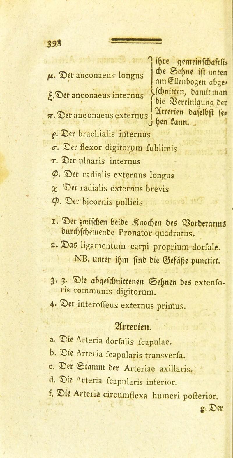 [ji. anconaeus longus .“^cr anconaeus internus V 5T. anconaeus externus i^rc d)e 0c()n? ifl unten am ^Ucnbogen obgc* (,fd)m'ften, bamirman I ble ?Scrciiugung bet 7{rtcrtcn bafdbfl: fe* j §cn fann. . f. X)cr brachialis internus <r. Dcr flexor digitorum fiiblimis T. X)er ulnaris internus $ <p. X)er radialis externus longus X- It'cr radialis externus brevis <P. Dei‘ bicornis pollicis 1. Der jmlfcbcn bdbe .^ncc^en bes ?SotbcrarmS burcflfc^etnenbc Pronator quadratus. 2» 2Dag ligamentum carpi proprium dorfale. NB. unfer finb bie ©efd^c punctirf. 3‘ 3- abgefcf)ni(tpnctt 0c^nen beS extenfo- ris communis digitorum. 4* X)ci: interoffeus externus primus. ^vtctien. a. Arteria dorfalis fcapulae. b. 'X)ie Arteria fcapularis transverfa. c. X)er 0tamm ber Arteriae axillaris. d. X)ic ■''rteria fcapularis inferior. f, X)ic Arteria circumflexa humeri pofterior. gi X)CC !