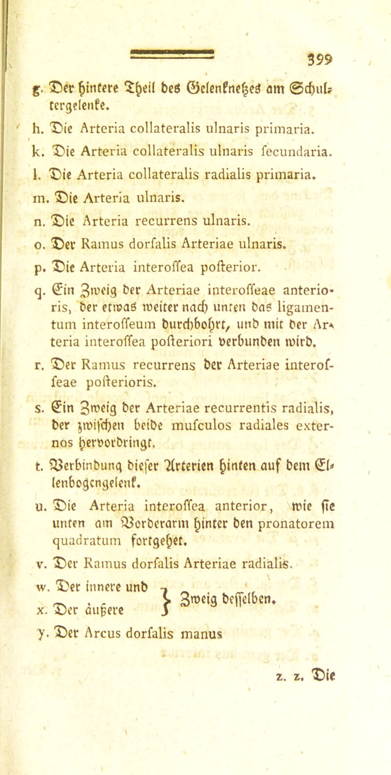 g. ‘Cer ^inferc beS ©elenfnc^eg inn 0cf)uU tcrgelenfc. '■ h. X)ie Arteria collateralis ulnaris prlmaria. f k. Die Arteria collateralis ulnaris fecundaria. l. Die Arteria collateralis radialis primaria» m. Die Arteria ulnaris. n. Die Arteria recurrens ulnaris. o. Dev Ramus dorfalis Arteriae ulnaris. p. Die Arteria interoffea pofterior. q. ^in Arteriae interoffeae anterio- ris, her efn?ag tneitev nad) unren bn^ ligamen- tum interoffeum burd)bol^rt, unb mit ber Ar*. teria interoffea pofteriori ncvbunbcn tuirb. r. Dec Ramus recurrens ber Arteriae interof- feae pofterioris. s. Sin Arteriae recurrentis radialis, ber jmifd)en bcibc mufculos radiales exter- nos bevbovbringt. t. ^erbinbung biefer Tfrterien ^inten auf bem Sk lenbogengeienf. u. Die Arteria interoffea anterior, tnic fte unten am ^^orberarm Winter ben pronatorem quadratum fortge^et. V. Dev Ramus dorfalis Arteriae radialis. w. Dev inneve unb X. Dev Qu§eve y. Dev Arcus dorfalis manus 2. 2. Die