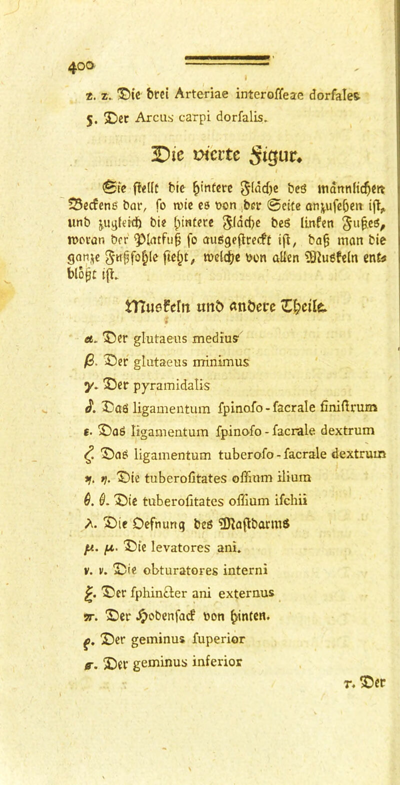 I 2. z., brci Arteriae interoffeae dorfale^ 5. Der Arcus carpi dorfalis. 3?ie xxcitc ^ie flellt bte ^infcrc itidnnlic^cit 525ecfen6 bar, fo n)lc es t)on jber @eite anj.ufe&eu iff,, unb juyfeicb bi« [linterc 5(dd)c beS linfen tDcvan bor ^latfu§ fo auggeflrecfj ifl, ba§ man bie ganne metc^g bcn alien ^Jugfeln enta blo^c i{l. tHueMit «nb> «n&ei*e Z^cilc. > a. Der glutaeus mediu? /8. 'Ccr glutaeus minimus ©er pyramidalis J*. X!)aS ligamentum fpinafo - facrale finillrum e. X)a6 ligameutum fpinofo - facrale dextrum ^ Sa^ ligamentum tuberofo - facrale dextrum *1. *}. '3!)te tuberofitates offium ilium $. X)ie tuberofitates ofilum ifchii A. 2i)ic Oefnunq beg ?D^aflbarmg fA. fj,. Die levatores ani, V. V. Die. obturatores interni £. Der fphinfter ani externus 5T. Der ^obenfarf bon ^intcn. Der geminus fuperior g-. Dev geminus inferior T«Der