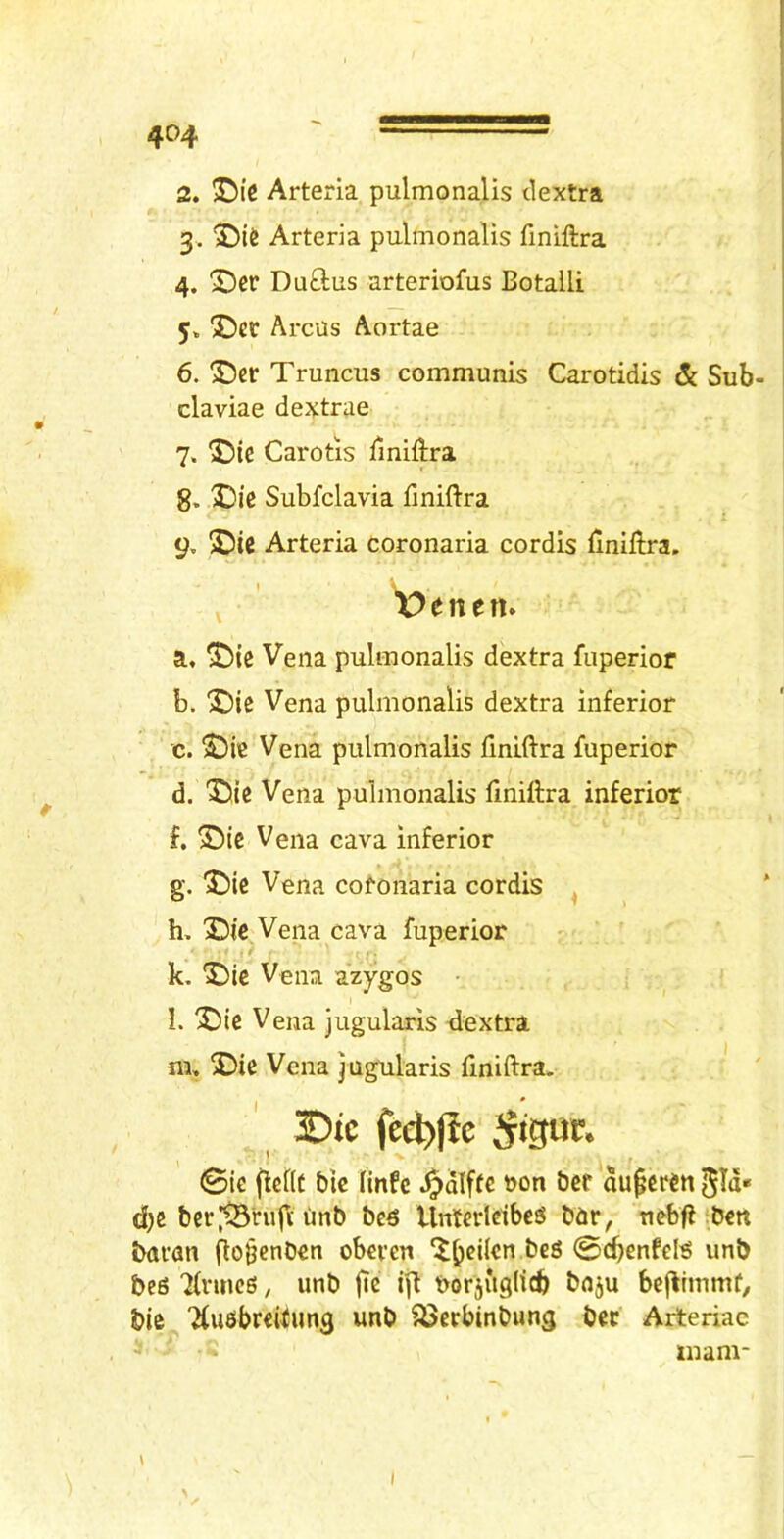 2. ©ic Arterla pulmonalis tlextra 3. Arteria pulmonalis finiftra 4. Der Duftus arteriofus Botalli 5» X)cr Arcus Aortae 6. I5er Truncus communis Carotidis & Sub- claviae dextrae 7. 5)te Carotis Tmiftra 8. Subfclavia finiftra 9. 2518 Arteria coronaria cordis finiftra. a. 2)ie Vena pulmonalis dextra fuperior b. 2)ie Vena pulmonalis dextra inferior c. SDie Vena pulmonalis finiftra fuperior d. 25ic Vena pulmonalis finiftra inferior f. ®ic Vena cava inferior g. 2)lc Vena cof-onaria cordis ^ h. 2)ie Vena cava fuperior t k. 25le Vena azygos • L 2)ic Vena jugularis ftextra m, 2)ie Vena jugularis finiftra. 0ie flcflt btc fmfc ^Td* d)8 bcr.lSrufi imb bc^ UntertdbcS bar, tiebfl bctt baran fto^enbeti obercn beS ©cbenfel^ unb bes Tfrmcg, unb fie ifl Porjuglicb bu5u bcftlmmf, bie Tfusbreftung unb 33erbinbung bee Arteriac X>enen mam-