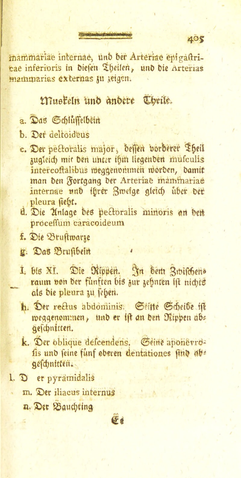 I / inaiftniarlae internae) vmb 6cr Art^riae fe^igaftri- I tae inferitoris in biefcn ^Ipeifen, unO die Artenas I fiiaiiimaries externas ju tlTue^eltt a. '^rtS ©cbluffelbliit b. Der deltoidfeus c. ®ev peftoralis major, bejj^it borb^ret’ 5ugteid) mif t)cn utUv’r (^01 Itcgcnbert irnifculis intefeoftalibiis nieggenommch laor&cn, bamlC anan ben Jorfgang ber Arteriab ihamfeariae internae wrtb ib^-er ubcr bet pleura jie§t, d. I)ie Knlagc 6e6 i^eftoralis hiiiibris m bcrt proceffum caracoideum f. ^ie ^Studmnrjc jf; 2)08 35rujlbeirt • I. b(8 Xi. 2)ic btip^n. ^n bcitt 3>bifcbett» roum »oh ber funftcn bi8 jur je^nten ift nid;t8 oig bie pleura ju fe^en. b. 2)er reftus abdoniinis; ©eitte 0d)ei6e i|l n?eggenom:ncn / unb er on bert Otipjacn ob? gcfcbnittcn. k. T)er bblique defcenderis. ©eirie apohbau'd- fis unb fcine fimf ebeien deiitationes finb Ob* gcfd)nitten. 1. er pyramidalis . m. 2)cr jliacus internus ' ‘ n. l^flucbting