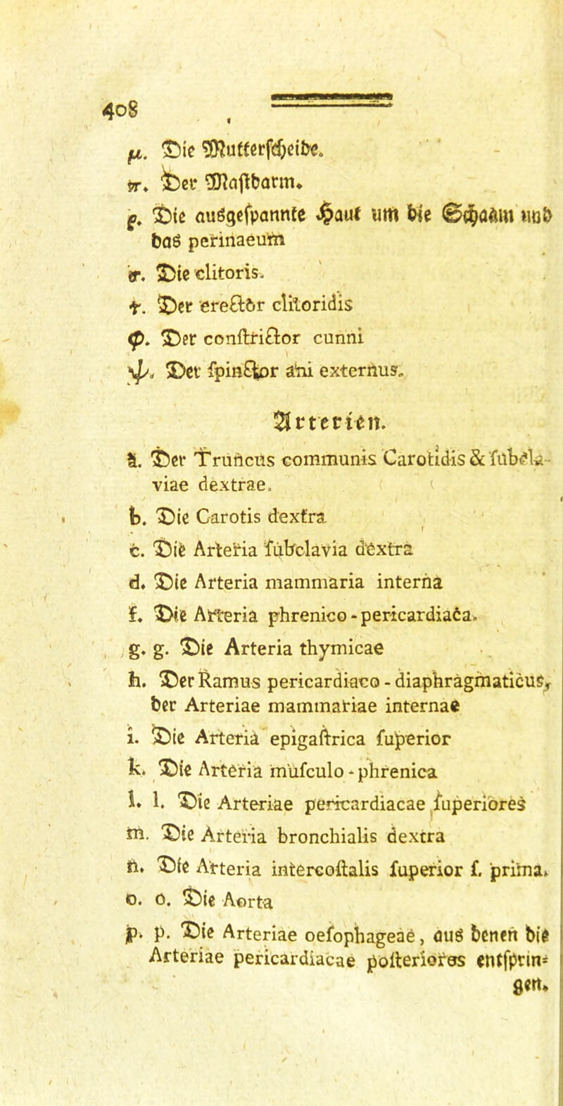 ix. ®ic 5RuffcrfdKil>€. feet ^njlbarm* g, 't)(e au^gcfpamttc .§aut «m tie ©d^a^m hoJ> ijaS pehnaeu'm if. S)ie clitoris, t. 'ereftbr cliloridis <p. 2)ct conftti£lor cunni 5)ci’ fpm£iior aiii externus. a. T)cr Trunciis communis Carotidis & fub^k- viae dextrae, ^ h, X)ie Carotis dextra. r c. Artetia Tiibclavia dtixtra d* ^ic Arteria mammaria interna f. Atteria phrenico-pericardiaCa. g. g. 2>ic Arteria thymicae h. J5er Ramus pericardkco - diaphragiiiaticuSj ter Arteriae mammatiae interna® i. ^ic Arteria epigaftrica fuperior k. ^)ie Arteria mufculo * phrenica i. 1. ^ie Arteriae pericardiacae^l’uperibres tn. X)ie Arteria bronchialis dextra ill. Arteria intercoftalis fuperior f. prima. o. 0. ^ie Aorta p. p. '^)te Arteriae oefophageae, fluS tenen bk Arteriae pericardiacae polterSoras entfprin* | 8<«*