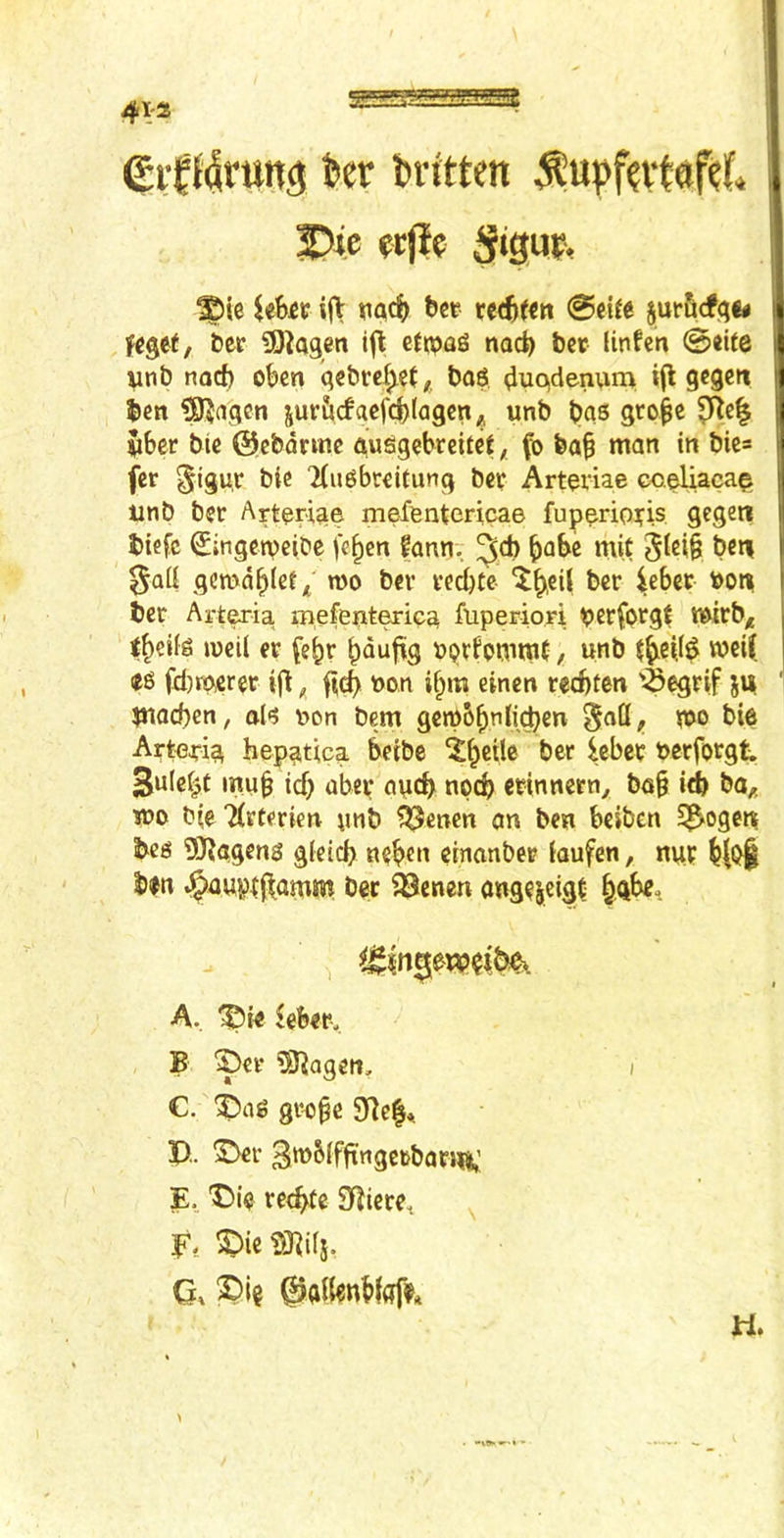 41-2 gif t4nwa Written ^upf?vt0f?f» I)ie ?tjif Sism, ^ie UBjCt i|\ tiQct> bcr u^tm 0cifc 5ur5cf(;«< fcget, ber SRagen e^^pag nod) bcr linfen ©«ite unb nacf) obeti qcbrcf^et, bag duojdenum i|l gcgcn ben ^aqcn jur&cfacfc|)(agcn ^ unb bas gro^c v6er bic @cbdrinc auggebreifej, fo ba^ man in bie= fer §igu,r bic ‘Hu^breitung ber Arteviae cceliaca^ tinb ber Arterige meffentericae fup^rioiis gegeit btefc €ingetveibe fc^^n fann, Wt 5fei§ bcri §Qii gcmdblet* mo bev vedjtc ber Arteria mefent^ieg fuperio.ri berforgJ mirb^ Ibeifs mcil er febr b<^ufig pgrfommt, unb wci{, fd)tOjCrer ifl, non if^rn einen red)ten '-Segtif ju ' ?Jiad)en, al*? uon bem gcm5bnli(^en §afl, mo bie Arte^ig hep^tica betbe ber iebe^ bccforgt Sulci^t mu0 id) ubev apeb npcb erinnern^ ba§ itb ba,, mo b(e 7(itericn pnb ?^cncn an ben beiben 55^ogc« beg 93?ageng gieicb neben einanber iaufen, nup blbt bpn §aup{|^amjn bee 23cnen angejeigt A. ^ie $eb«r> B iDei* 93^agen, / C. i)ag giHj^e 9^e|,. B. ^i’ 3m6(fftngc»bari5R,' E., 'Bie reduce Sfliere^ E, BieD3^i(j, Q. H.