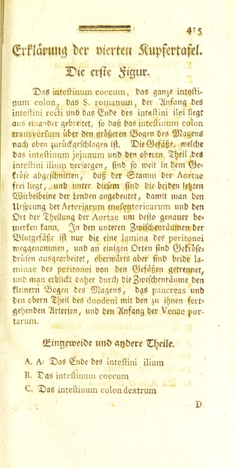 f Sifldi’ung oierteu i^upfeitofff. Jl'te ciiTe 5>SUf' \- T>a$ inteftinum coecuin, gonje intefti- pum colon, baS S. romanutn, ber 2(nfang bc6 inteftini rccli unb bne! <Snbc bc8 inteftini ilei fiegf au6 €(riQMDk'r gebveitct, fo ba^ bosinteftinuin colon transverfam ub^r ben qrb^eren 25ogen be^ 9JRag.en6 nod) obcn jurucfgcfcijldgen ift, 3Die@efd^’e, n)e(dje ba5 inteftinum jejunum unb ben pbeven ^^ei( ,.be$ inteftini ilium betforgen, (inb fp n^eit in bem ©c= fiofe nbgcfcbnirten, bo^ ber 0famm ber Aortae frei liegr,, unb unter biel'cm ftnb bie bcjben (e|ten ClBtrbelbcinc bee lenben ongebcutet, bamtf man ben Urfpi'ung bee Arterjgrum rnefpntcricarum unb ben Ovt bee ‘Xf;c((ung bee Aortae um befto genauce be= meefen fann, ^n ben unteeen bee ^^lutgcfd^c ifl nue bic einc laming bee^ peritonei meggenommen, unb an einigen Deten finb ©cftofcs bn'ifen nu^gcarbeifet, obeemdrts abee ftnb beibe la- minae bes peritonei tton ben ©efd§cn getrennef^ unb man eebltcft balder bued) bic3fV>ifcbenrdume ben fleineen ^23cgen beg 5Tiageng/ bgg pancreas unb ben obern beg duodeni mit ben gu i^nen foet= ge(;>cnben 7U'teejen, unb ben '^nfang bee Venge por- taruni, iSingcwci'bc lint) ftQbcce HX)dk. A. A< X)ag ^nbe beg inteftini ilium B. X'gg inteftinum coecum C. X)ag inteftinum colon dextrum