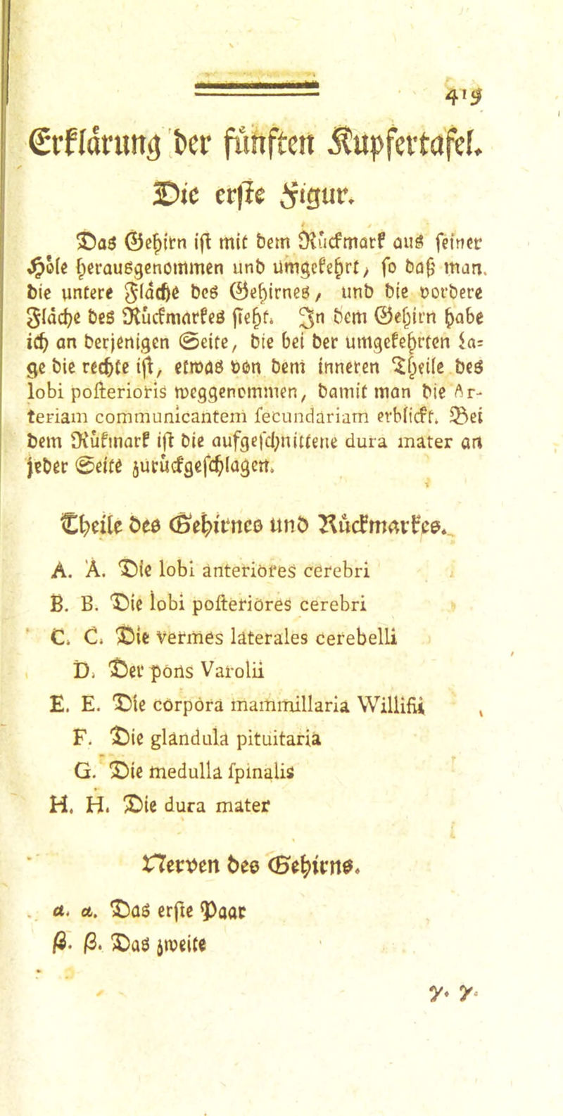 4'3 €iflanitt^ !!)er futiftcn ^upfcvtafcf. Die erpe ifigur, / 3!)a5 ©cfiitn ifl mit bem Dlucfmarf aug feincr J^olc fpcraudgcnoitimen unb urngefe^rf > fo bti0 man. bie wntere ©e^irneg/ unb bic norberc 5Idd)e bes Dlucfmnrfeg jTe^f» 3^ ©e§tm ^>abe an berjenigen 0eite, bie bd ber umgefe^rfen gc bic reduce ijt, cfrogs »bn bent tnneten beg lobi pofteriot-Is weggenemmen^ bamit inon bte Ar- teriam communlcanteni fecundariam crb(icff» ^ei bem JKufinarf ifl: bic aufgc|'cl}nittene dura mater an |cbcr 0etfC jucucfgefc^lagcrt. •t Cl^eile C)e0 (B^e^>it*nco unb A. A. 'J)ie lobi anteriofes cerebri B. B. X)ie lobi pofteriOreS cerebri C. C. 3!5ie vermes laterales cerebelli Di iDei’ports Varolii E. E. X)ic corpora mammillaria Willifii , F. ‘^)ie glandula pituitaria G- 2)ie medulla fpmalis H. H. X>ie dura mater nertjen bee <He|>irn0» . a. a. ^)ag erfte ^aac /3. X)ag jweice y* y-