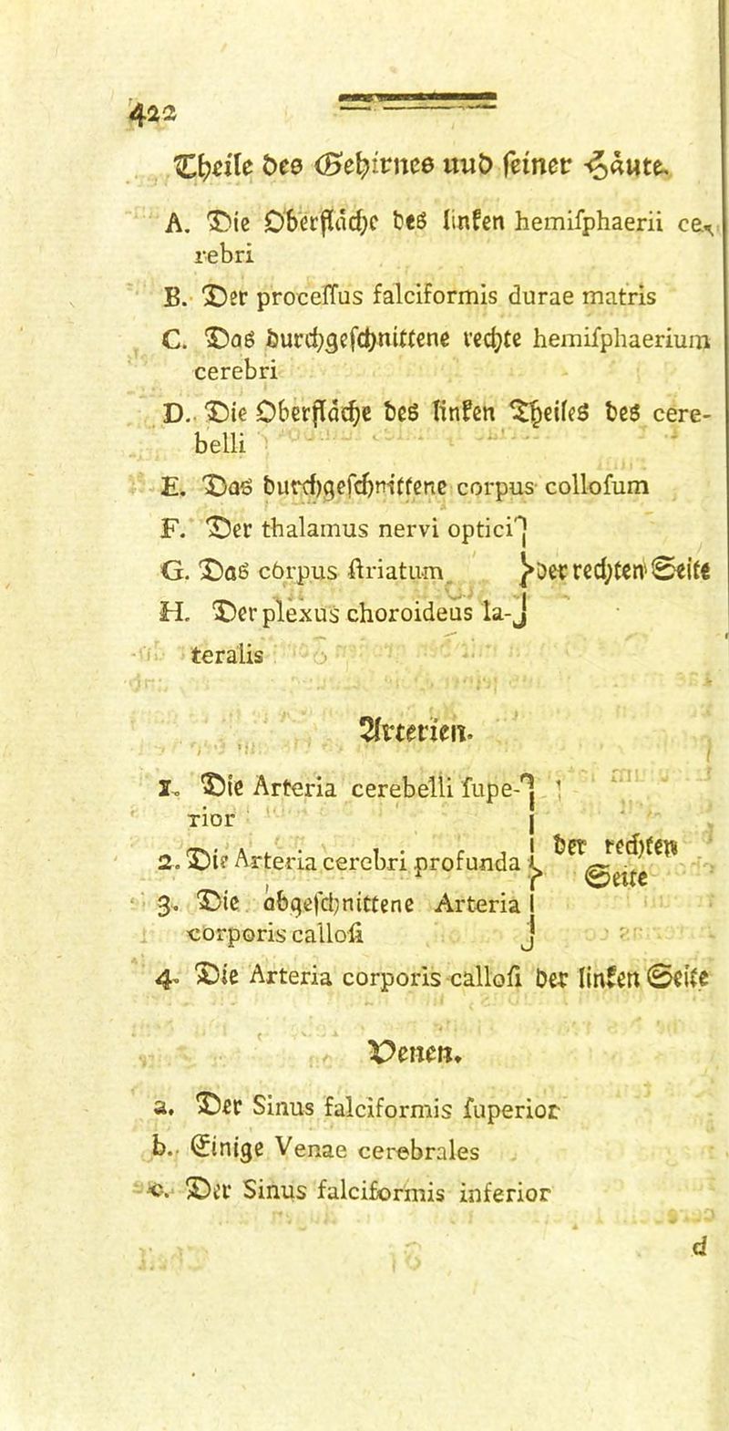 Z[)dU t)C0 (Bel^itnce fciner A. '55ie Dberfliid;c beS linfen hemifphaerii ce^ rebri B. X)er procelTus falciformis durae matris C. l)urcb3efdS)nit(ene vccbte hemifphaeriuni cerebri D- 'J)i€ Oberfldcbe beg Knfen ^eifeg teg cere- belli E. X)ag turd)gefcbm(fcne corpus collofum F. X5er thalamus nervi optici] G. 'Dag corpus ftriatum J»!)e{:red;ten'Seite H. Der plexus choroideus la-J ■'ii teralis j 2Inerieii. -i , I. Die Arteria cerebelti fupe-'^j 1 ' xior I 2. Die Arteria cerebri profunda I, ‘■3. Die flbqe|ct}nittenc Arterial corporis callofi J 4, Die Arteria corporis calloA Dei linfert 0ei(c X^eiten, a, Dec Sinus falciformis fuperior b. . Q^inlgc Venae cerebrales Di’l‘ Sinus falciformis inferior