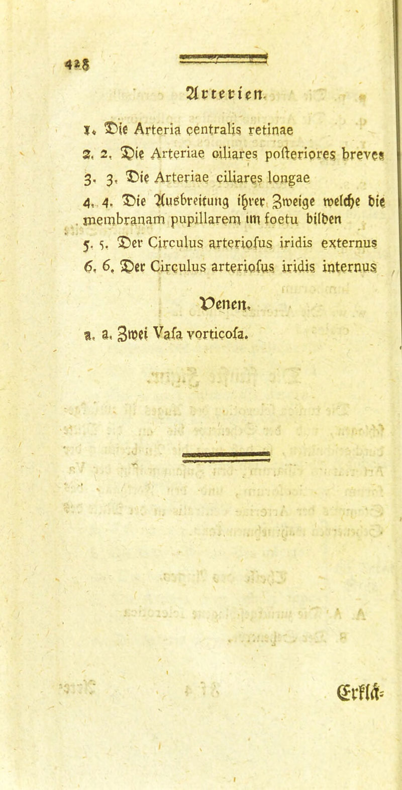 4*8 2lvteticn. Jo ^ie Arteria centrali? retinae S, 2, ^ie Arteriae oiliares, pofteriore$ brevci I 3, 3, ®ic Arteriae ciliares longae 4, 4. X)te ■^ugbreitung i^rcr, 3»^cjge roclc^c bie , membranam pupillarem im foetu bilben I. ■ r • Of - _ 5, 5, Circulus arteriofus iridis externus 6, 6, 3)cr Circulus arteriofus iridis internus f VeneWo n. a, Vafa vorticofa. I t.