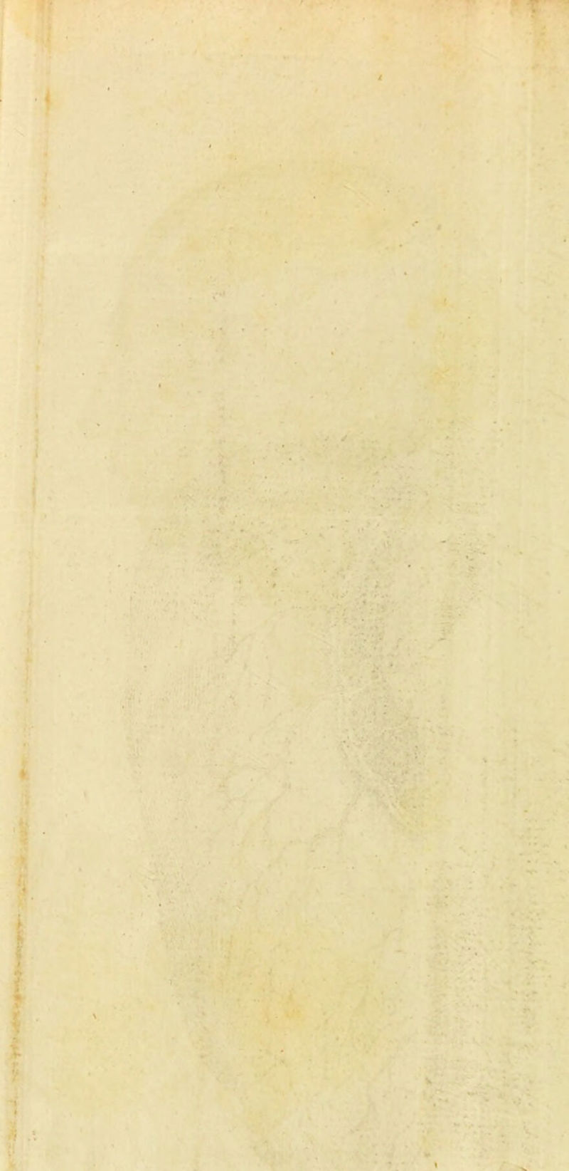 -y- ' :* '• ■*'r- . ?• A '■,*■' * « * -'’••/j sv, > ^ ;ui •-3 »• I -H 1-- c-y VJ. ’/■ /■ L- J - ^. - Si' ■• ■':■•' ^‘' ■>-- •• .;. ■*.••/>-■ •^' j  i! *• s . - f\/.- . • »* ■ - I ■^m'v' .'w . -f 3K .