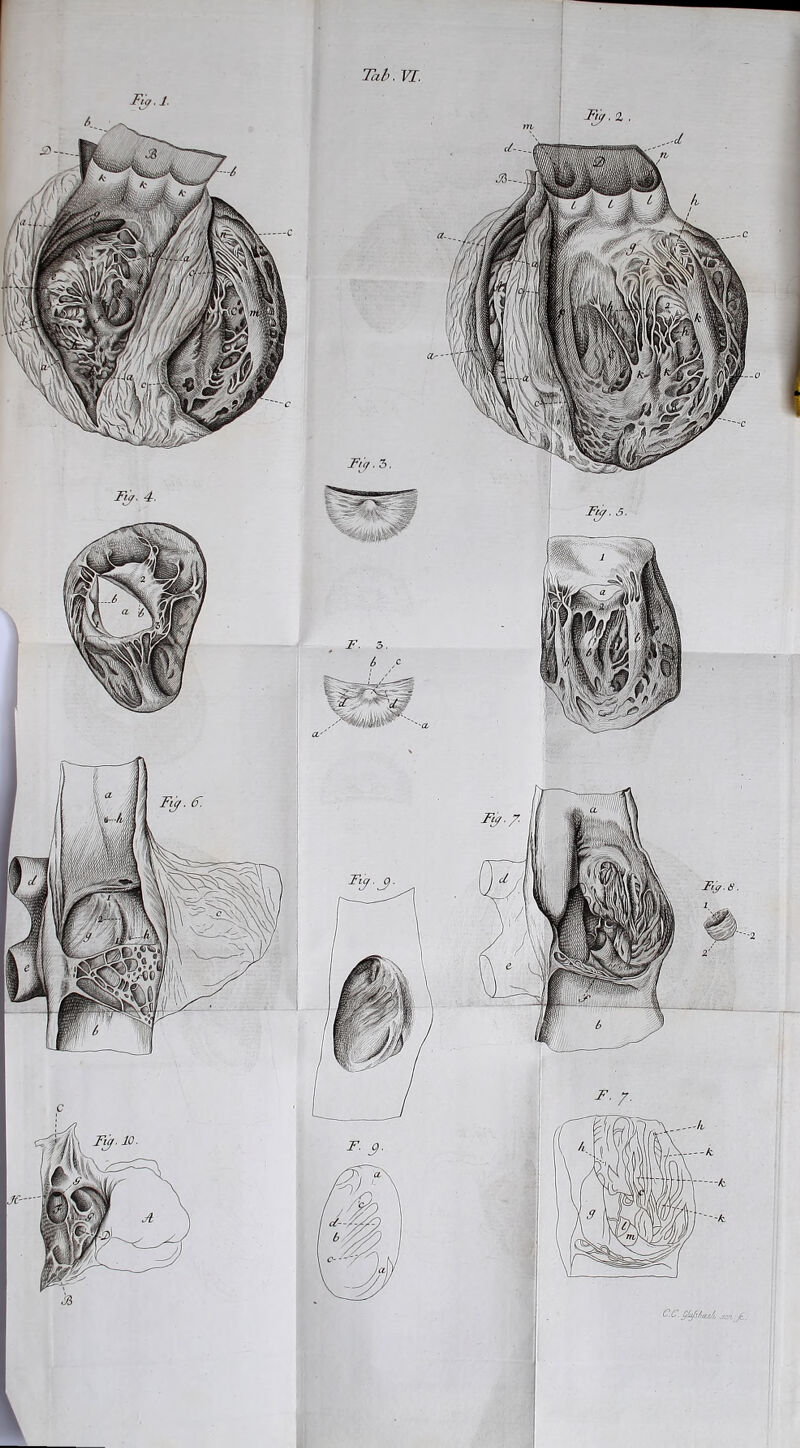 CC. ^!(^3/i(cc//. .ten. C Tab. VI. a- Fn/. 5. Fij. 4. Fij. F.