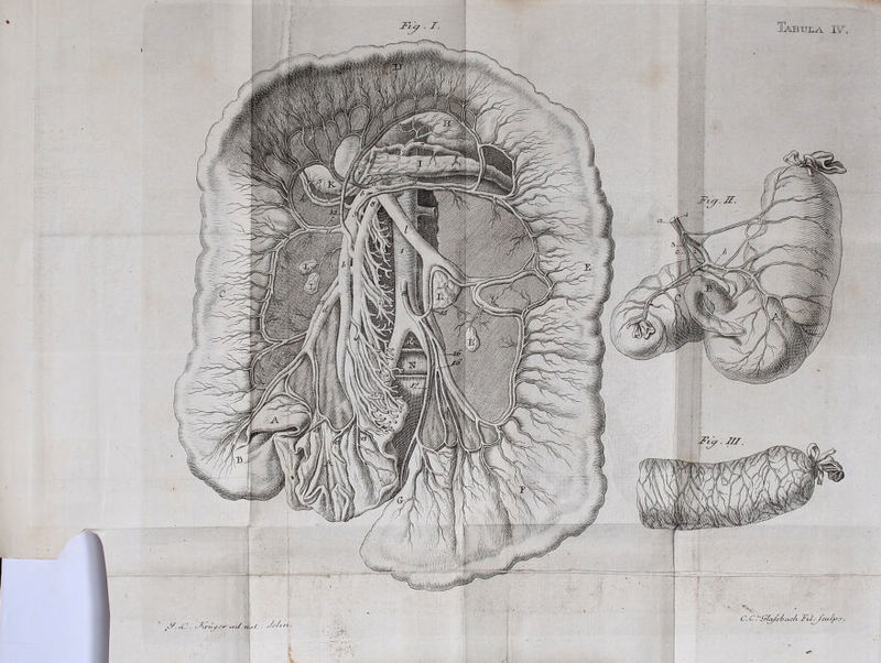 lABltrjLA. IV. C,C7~SJ/<^i>ctc/t FiJ^cuJ^y ■ . - /! ■ ^x.ri^i'f' t-tu u<‘i