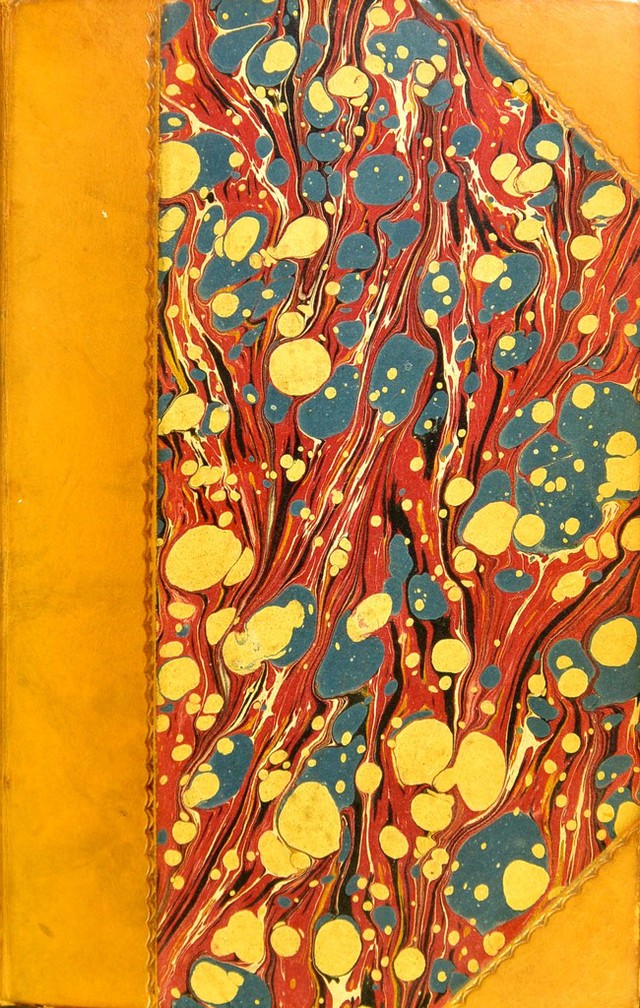 No text description is available for this image