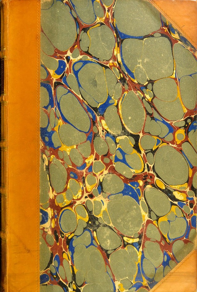 No text description is available for this image