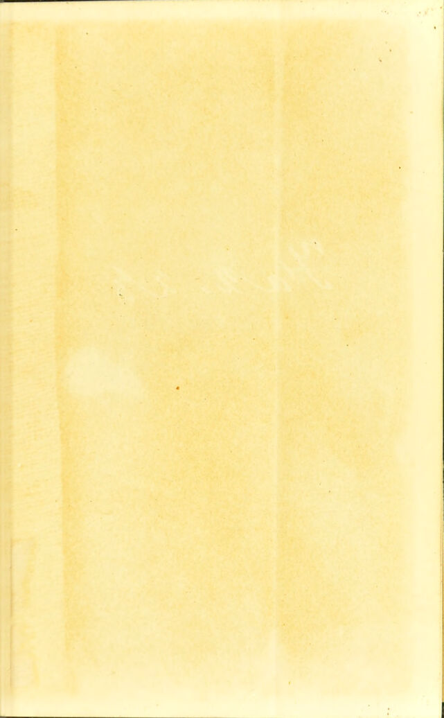 digitised image 3