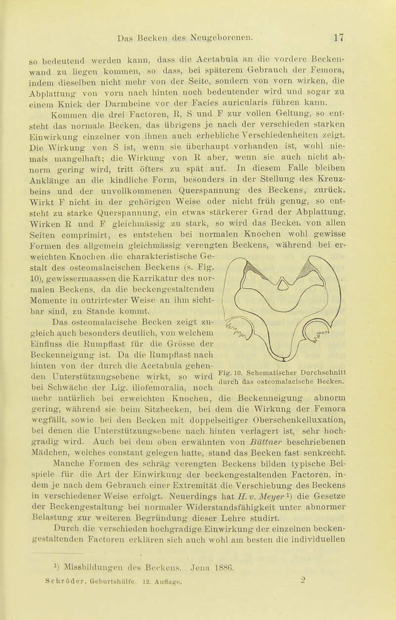 so bedeutend werden kann, class die Acetalmla an die vordere Becken- wand zu liegen kommen, so dass, bei späterem Gebrauch der Feinora, indem dieselben nicht mehr von der Seite, .sondern von vorn wirken, die Abplattung von vorn nach hinten noch bedeutender wird und sogar zu einein Knic k der Darmbeine vor der Facies auricularis führen kann. Kommen die drei Factoren, R, S und F zur vollen Geltung, so ent- steht das normale Keeken, das übrigens je nach der verschieden starken Einwirkung einzelner von ihnen auch erhebliche Verschiedenheiten zeigt. Die Wirkung von S ist, wenn sie überhaupt vorhanden ist, wohl nie- mals mangelhaft; die Wirkung von R aber, wenn sie auch nicht ab- norm gering wird, tritt öfters zu spät auf. In diesem Falle bleiben Anklänge an die. kindliche Form, besonders in der Stellung des Kreuz- beins und der unvollkommenen Querspannung des Beckens, zurück. Wirkt F nicht in der gehörigen Weise oder nicht früh genug, so ent- steht zu starke Qnerspannung, ein etwas stärkerer Grad der Abplattung. Wirken R und F gleichmässig zu stark, so wird das Becken von allen Seiten comprimirt, es entstehen bei normalen Knochen wohl gewisse Formen des allgemein gleichmässig verengten Beckens, während bei er- weichten Knochen die charakteristische Ge- stalt des osteoinalacischen Beckens (s. Fig. 10), gewissermaassen die Karrikatur des nor- malen Beckens, da die beckengestaltenden Momente in outrirtester Weise an ihm sicht- bar sind, zu Stande kommt. Das osteomalacische Becken zeigt zu- gleich auch besonders deutlich, von welchem Einfluss die Rumpflast für die Grösse der Beckenneigung ist. Da die Rumpflast nach hinten von der durch die Acetabula gehen- i TT , , ... .t Fig. 10. Schematischer Durchschnitt den Unterstutzungsebene wirkt, so wird ° , „ , , . . T, ,  • durch das osteomalacische Becken, bei Schwäche der Lig. iliofemoralia, noch mehr natürlich bei erweichten Knochen, die Beckenneigung abnorm gering, während sie beim Sitzbecken, bei dem die Wirkung der Femora wegfällt, sowie bei den Becken mit doppelseitiger Oberschenkelluxation, bei denen die Unterstutzungsebene nach hinten verlagert ist, sehr hoch- gradig wird. Auch bei dem oben erwähnten von Büttner beschriebenen Mädchen, welches constant gelegen hatte, stand das Becken fast senkrecht. Manche Formen des schräg verengten Beckens bilden typische Bei- spiele für die Art der Einwirkung der beckengestaltenden Factoren, in- dem je nach dem Gebrauch einer Extremität die Verschiebung des Beckens in verschiedenerweise erfolgt. Neuerdings hat H. v. MeyerJ) die Gesetze der Bee.kengestaltung bei normaler Widerstandsfähigkeit unter abnormer Belastung zur weiteren Begründung dieser Lehre studirt. Durch die verschieden hochgradige Einwirkung der einzelnen becken- gestaltenden Factoren erklären sich auch wohl am besten die individuellen l) Missbildungen des Keekens. Jena 1886. s v Ii rüd .;r, Geburtshülfe 12. Auflage,
